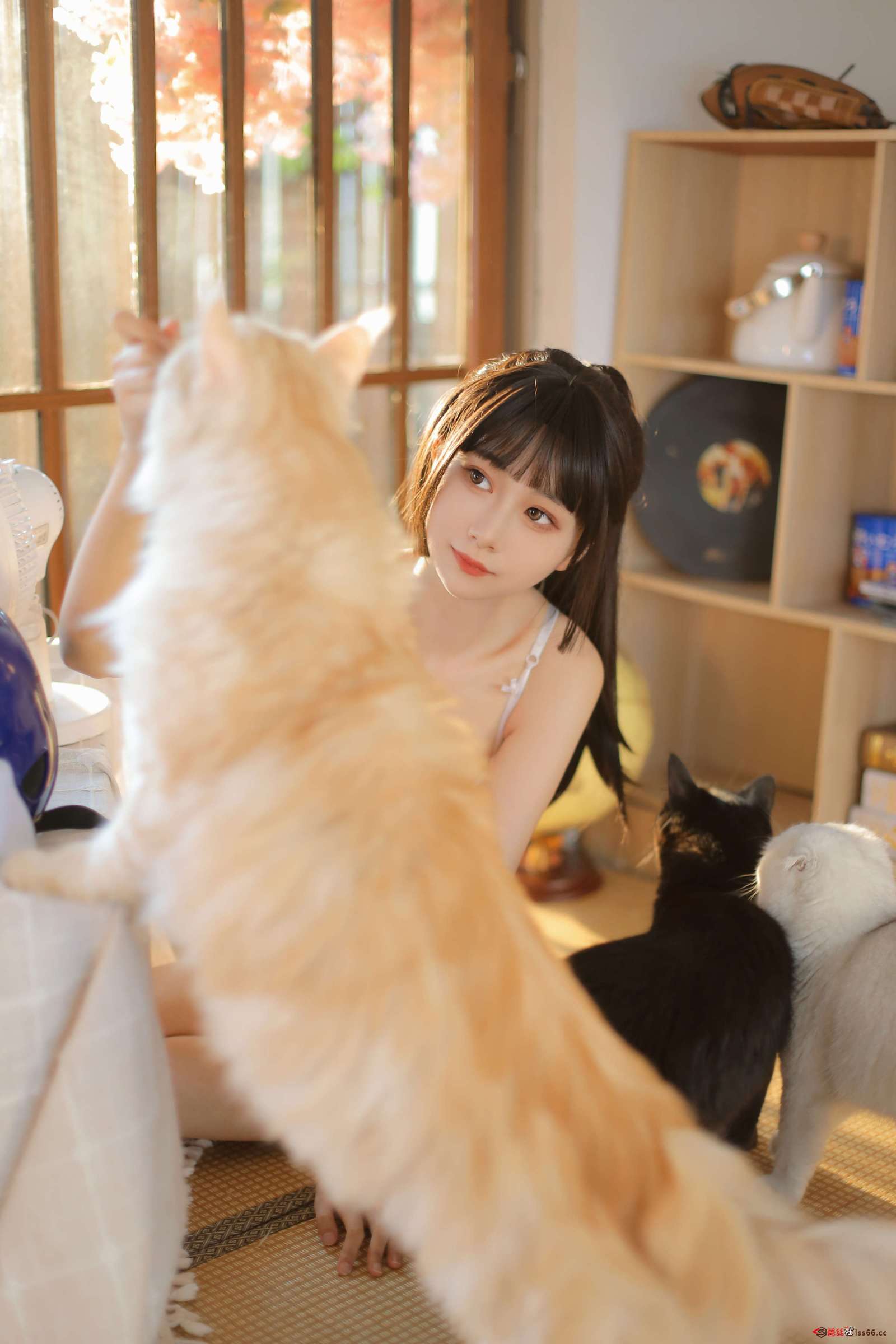 https://www.lss77.com/wp-content/uploads/2022/08/C-17-48-1600x2400.jpg