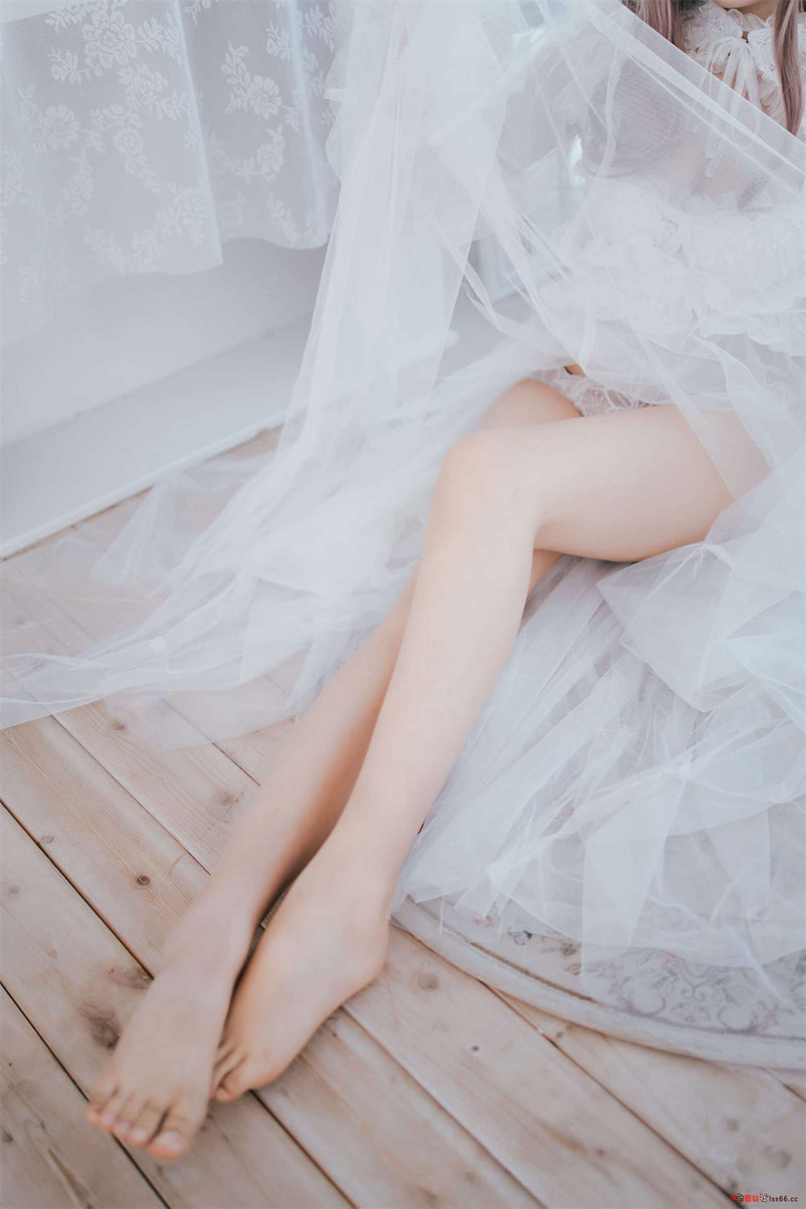 https://www.lss77.com/wp-content/uploads/2022/08/C-21-8-1600x2400.jpg