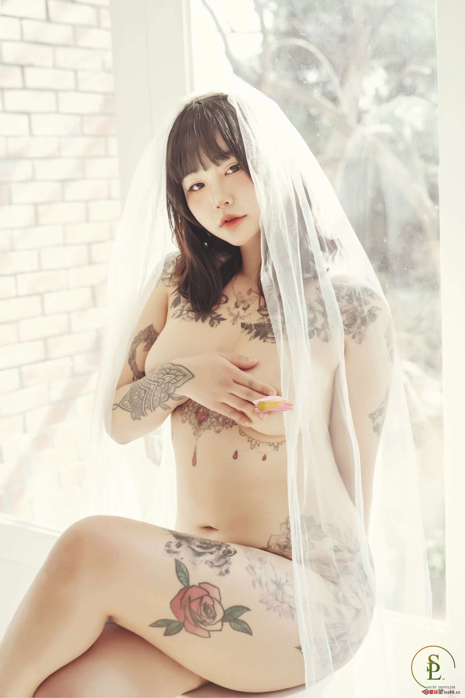 https://www.lss77.com/wp-content/uploads/2022/08/C-28-42-1600x2400.jpg