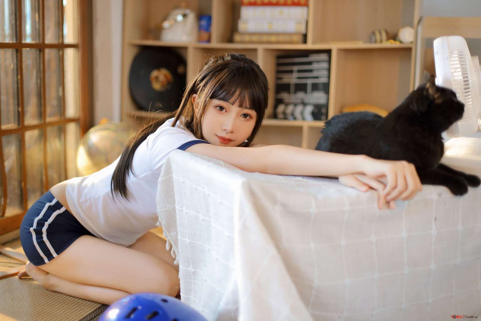 https://www.lss77.com/wp-content/uploads/2022/08/C-6-50-1600x1067.jpg
