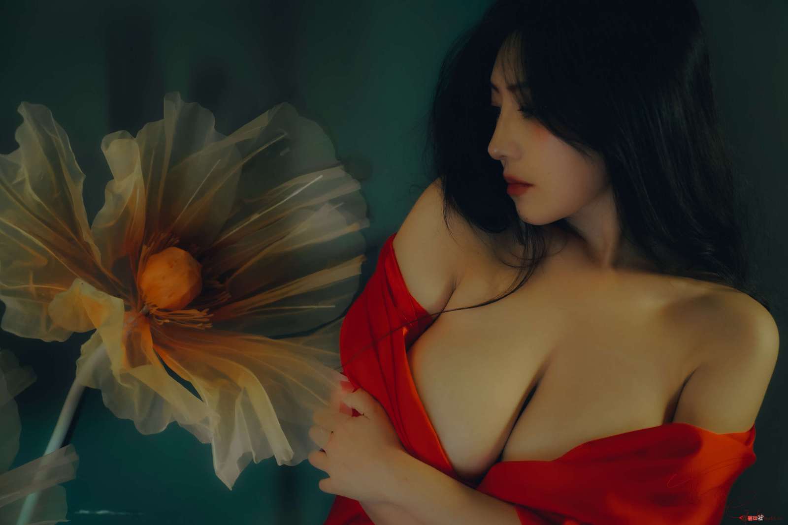 https://www.lss77.com/wp-content/uploads/2022/09/0019-176-1600x1067.jpg