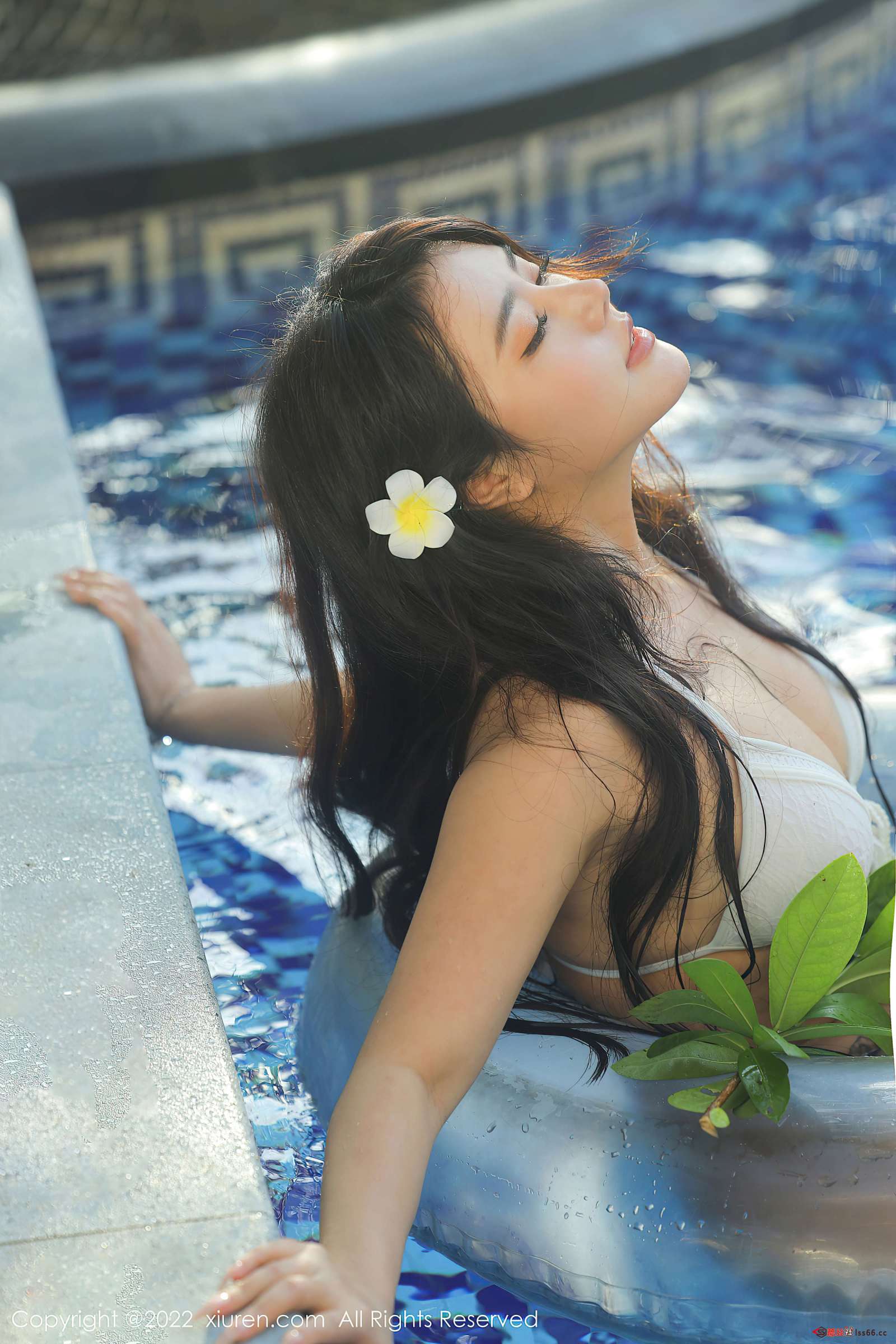 https://www.lss77.com/wp-content/uploads/2022/09/0035-14-1600x2400.jpg