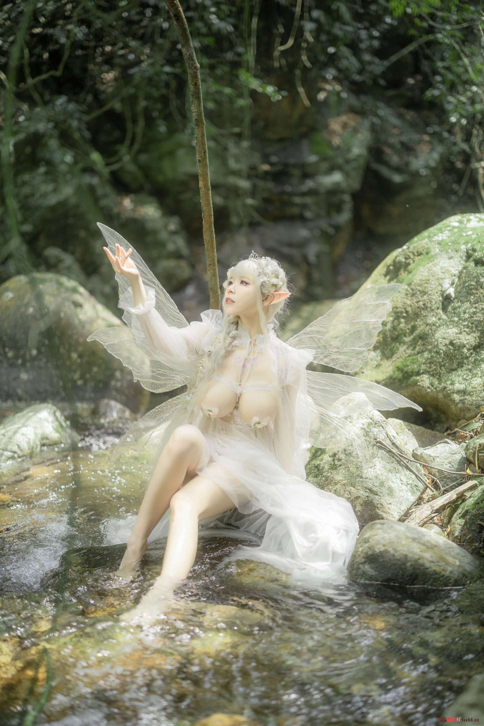 https://www.lss77.com/wp-content/uploads/2022/09/025-47-1600x2400.jpg