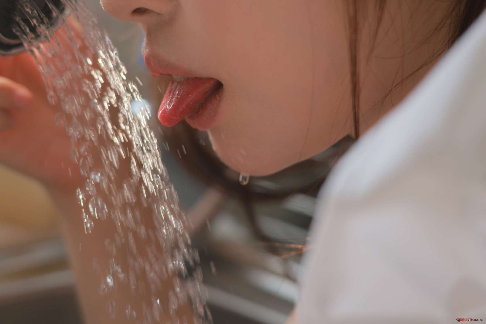 https://www.lss77.com/wp-content/uploads/2022/09/117-1600x1067.jpg