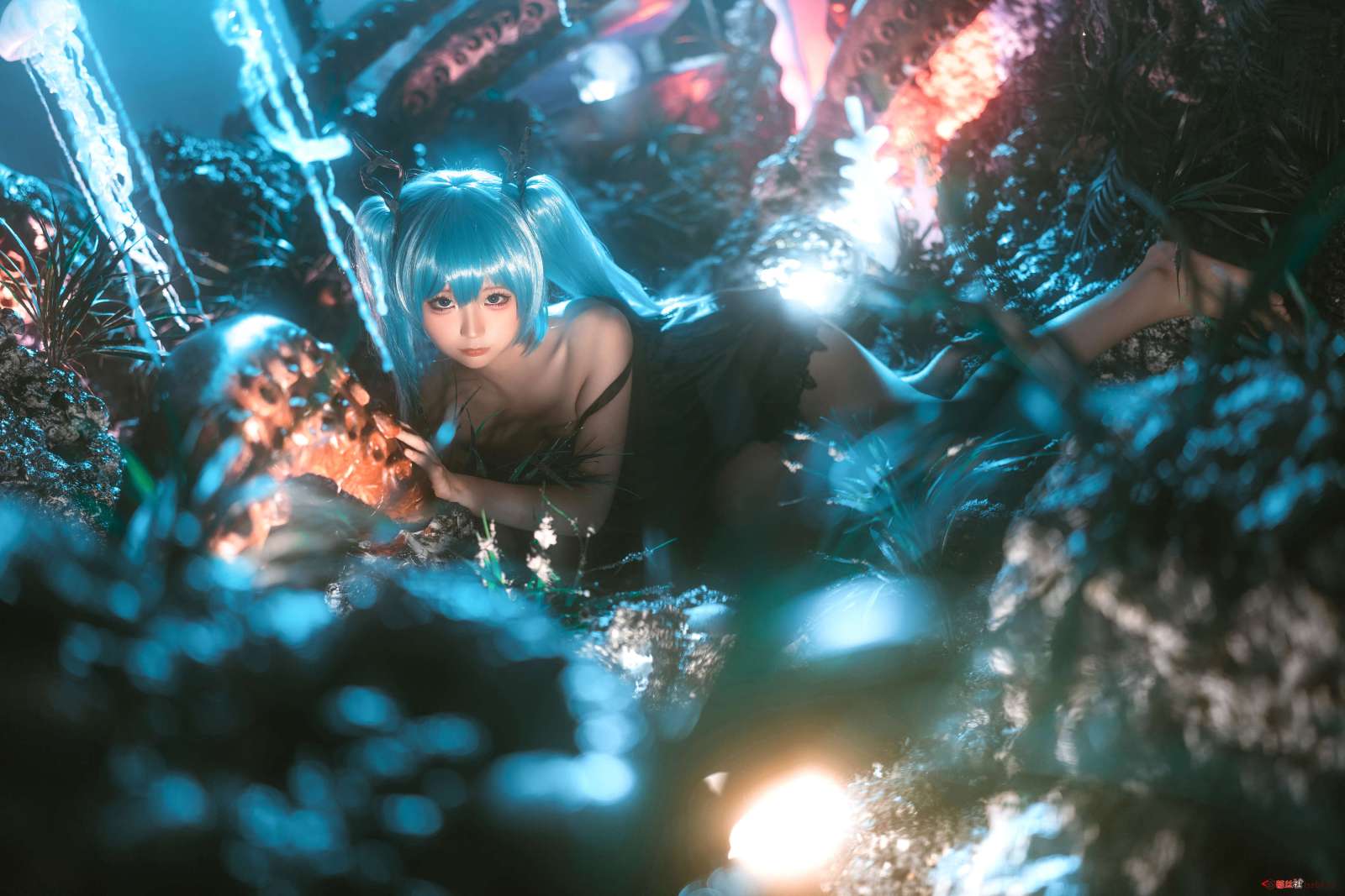 https://www.lss77.com/wp-content/uploads/2022/09/24-7-1600x1067.jpg