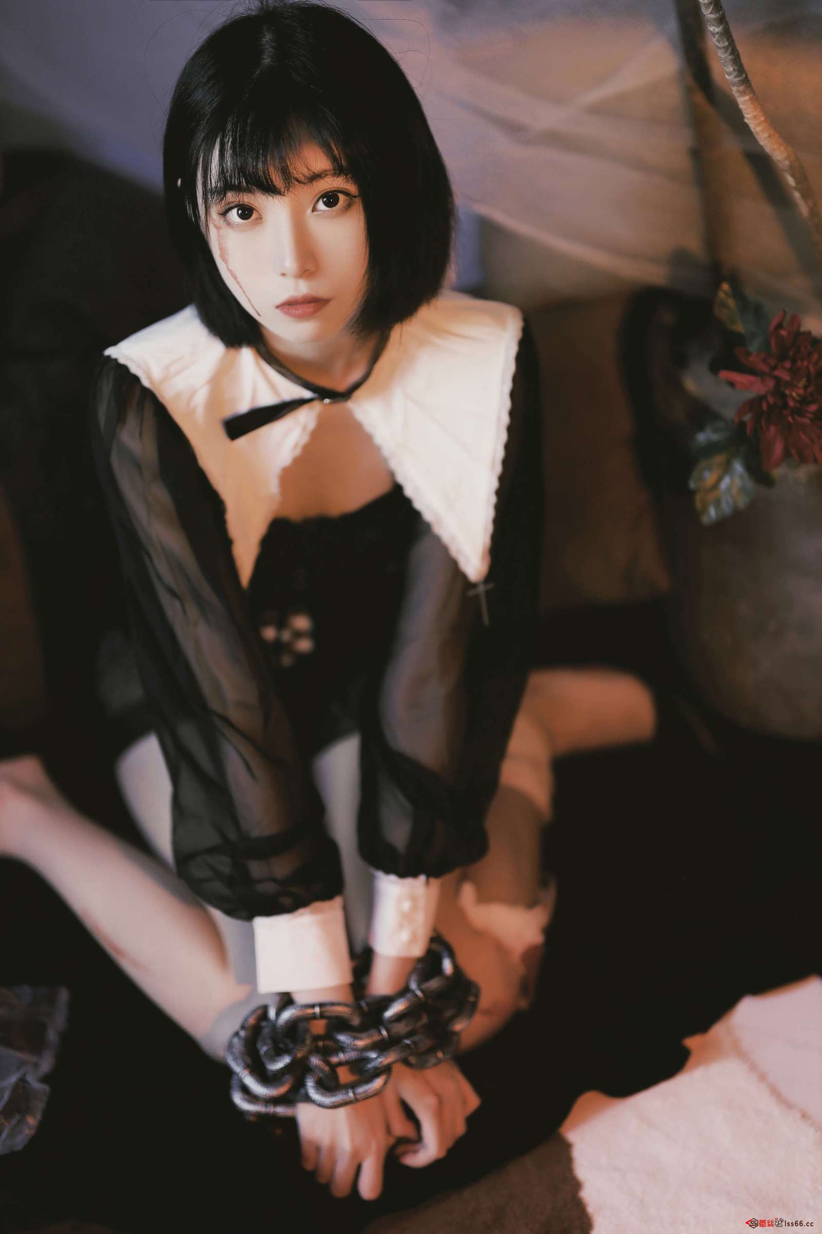 https://www.lss77.com/wp-content/uploads/2022/10/0021-107-1600x2400.jpg