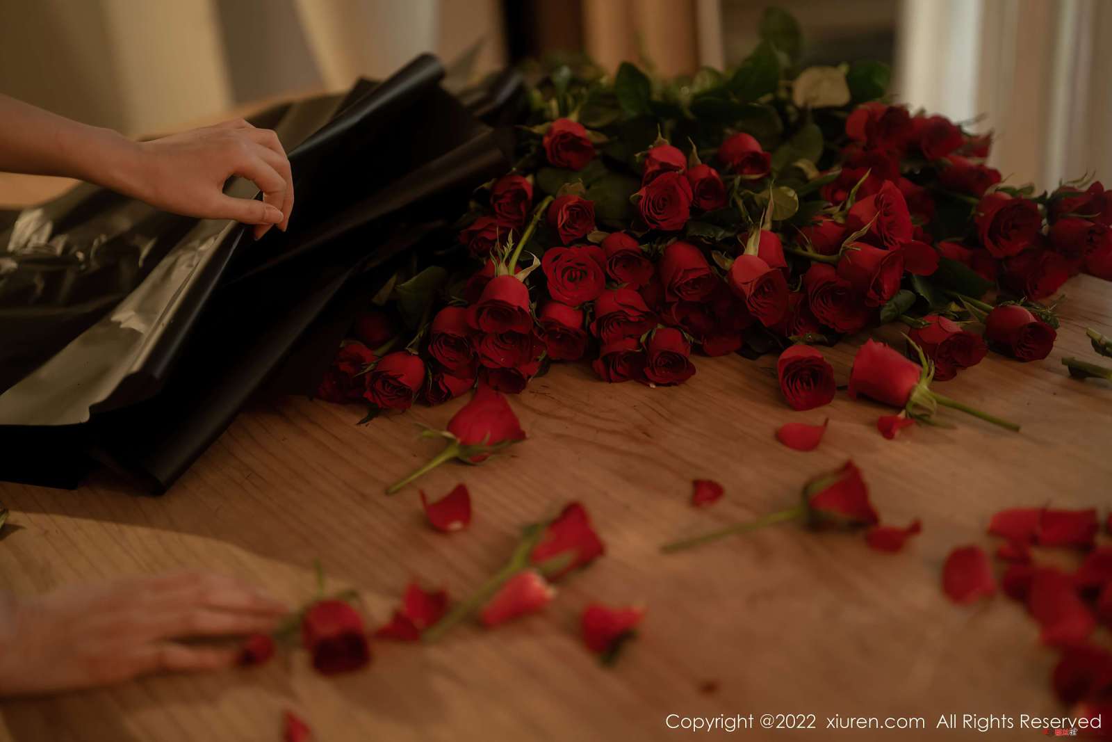 https://www.lss77.com/wp-content/uploads/2022/10/0021-94-1600x1067.jpg