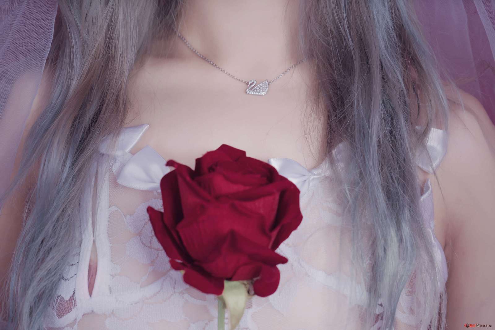 https://www.lss77.com/wp-content/uploads/2022/10/003-137-1600x1067.jpg