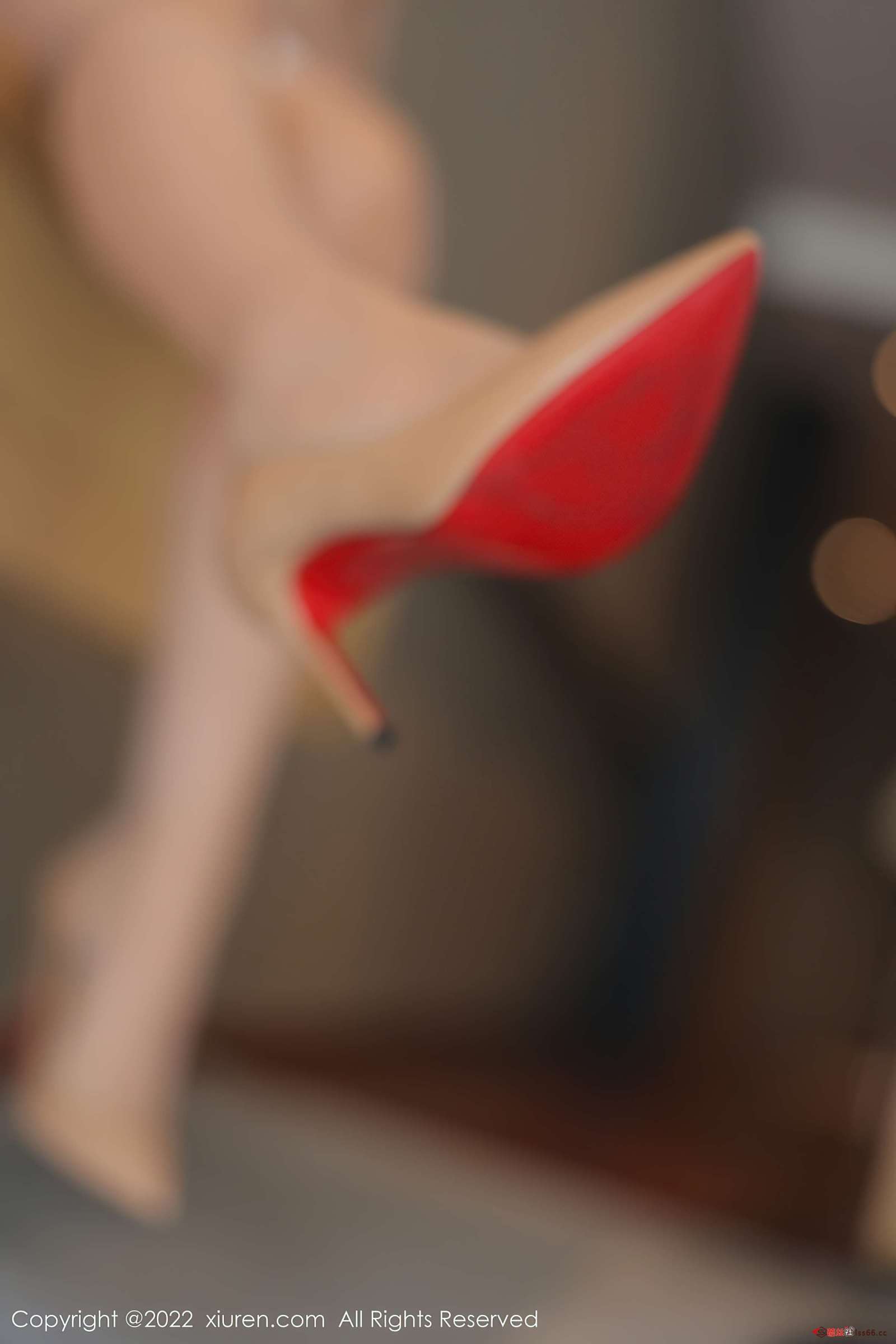 https://www.lss77.com/wp-content/uploads/2022/10/0030-273-1600x2400.jpg