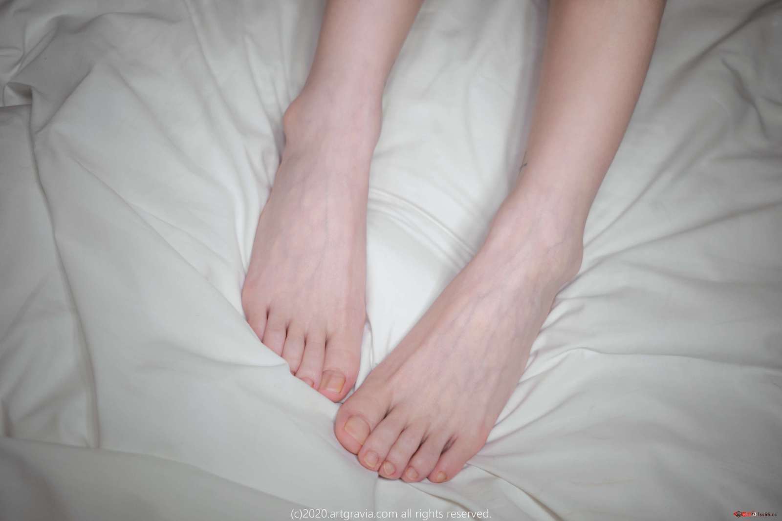 https://www.lss77.com/wp-content/uploads/2022/10/0036-102-1600x1067.jpg