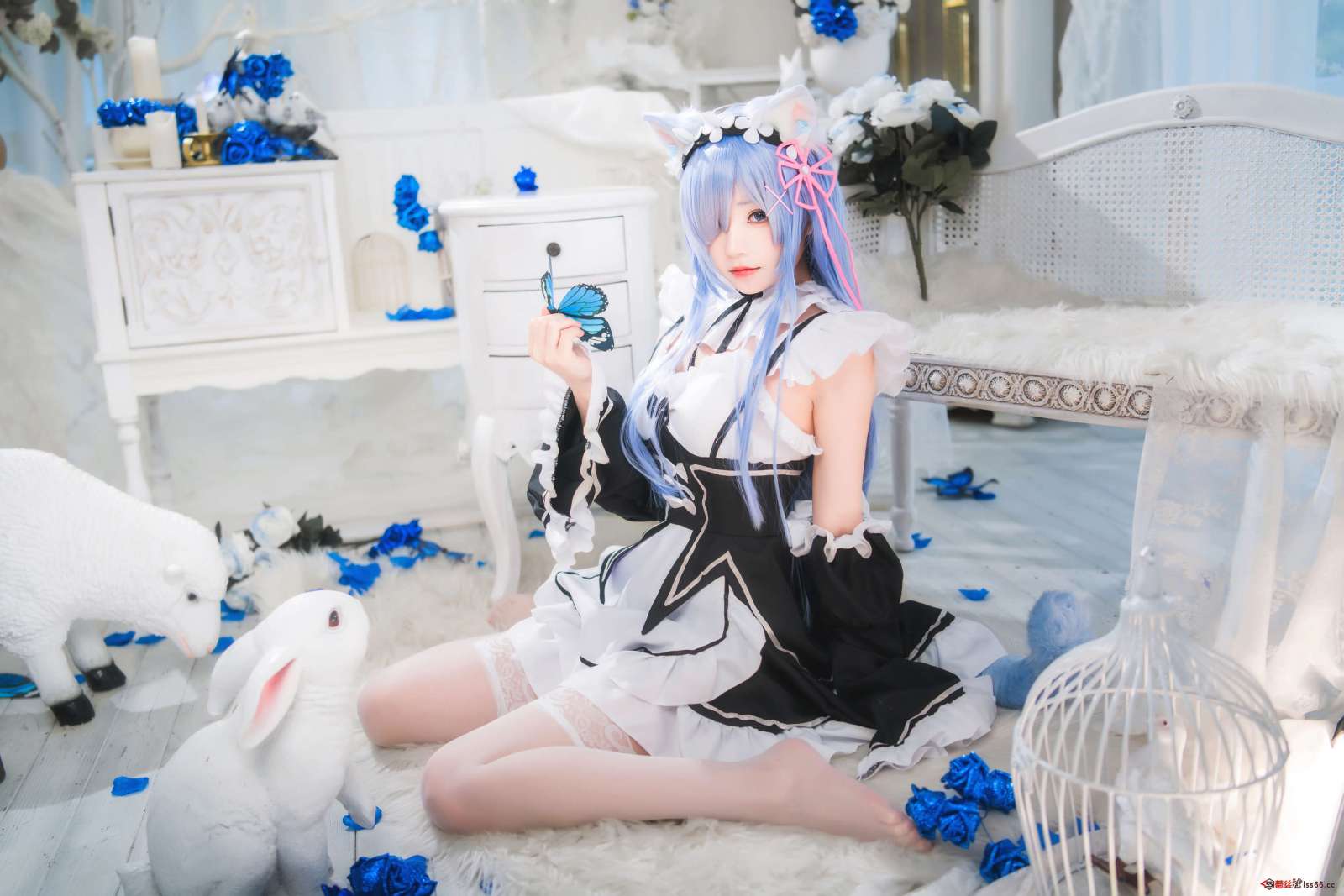https://www.lss77.com/wp-content/uploads/2022/10/005-47-1600x1067.jpg