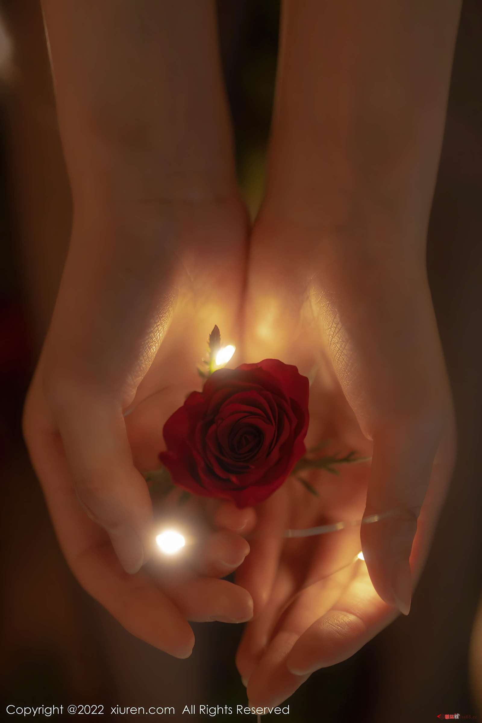 https://www.lss77.com/wp-content/uploads/2022/10/0058-53-1600x2400.jpg