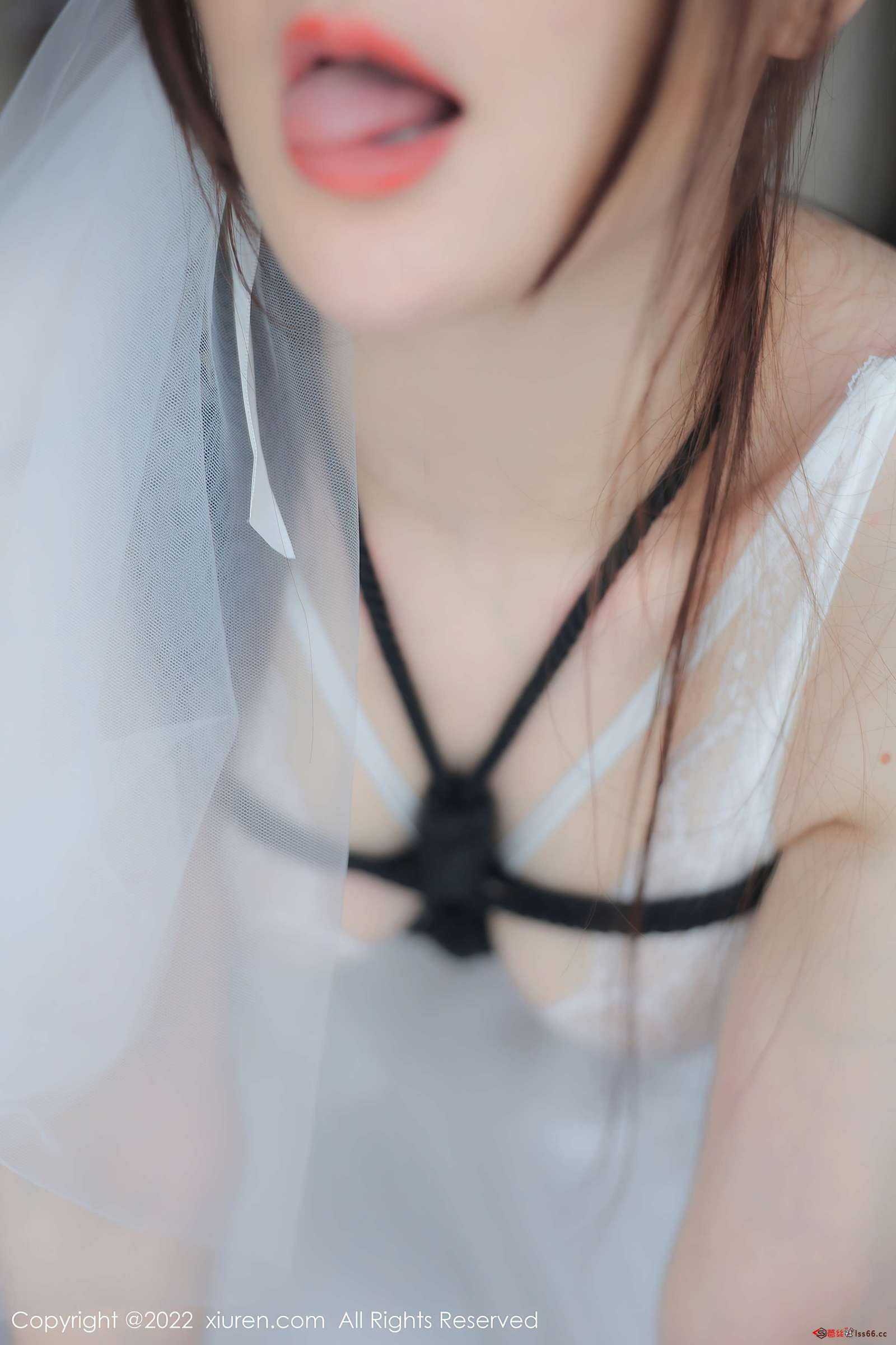 https://www.lss77.com/wp-content/uploads/2022/10/0077-43-1600x2400.jpg