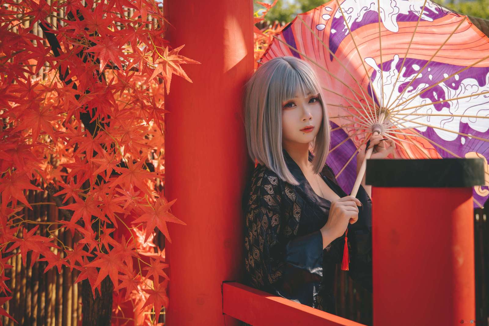 https://www.lss77.com/wp-content/uploads/2022/10/024-90-1600x1067.jpg