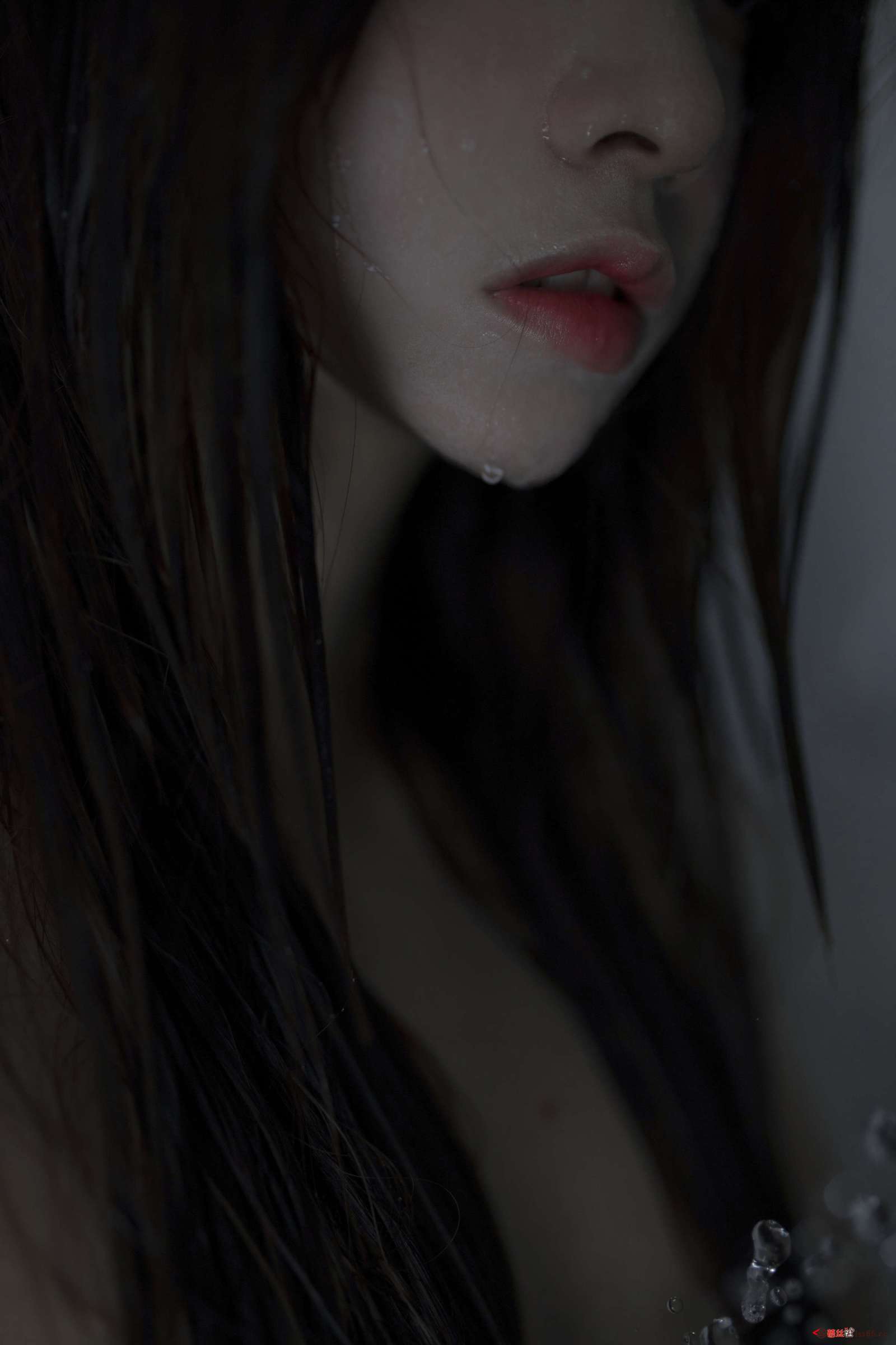 https://www.lss77.com/wp-content/uploads/2022/10/038A3943-1600x2400.jpg