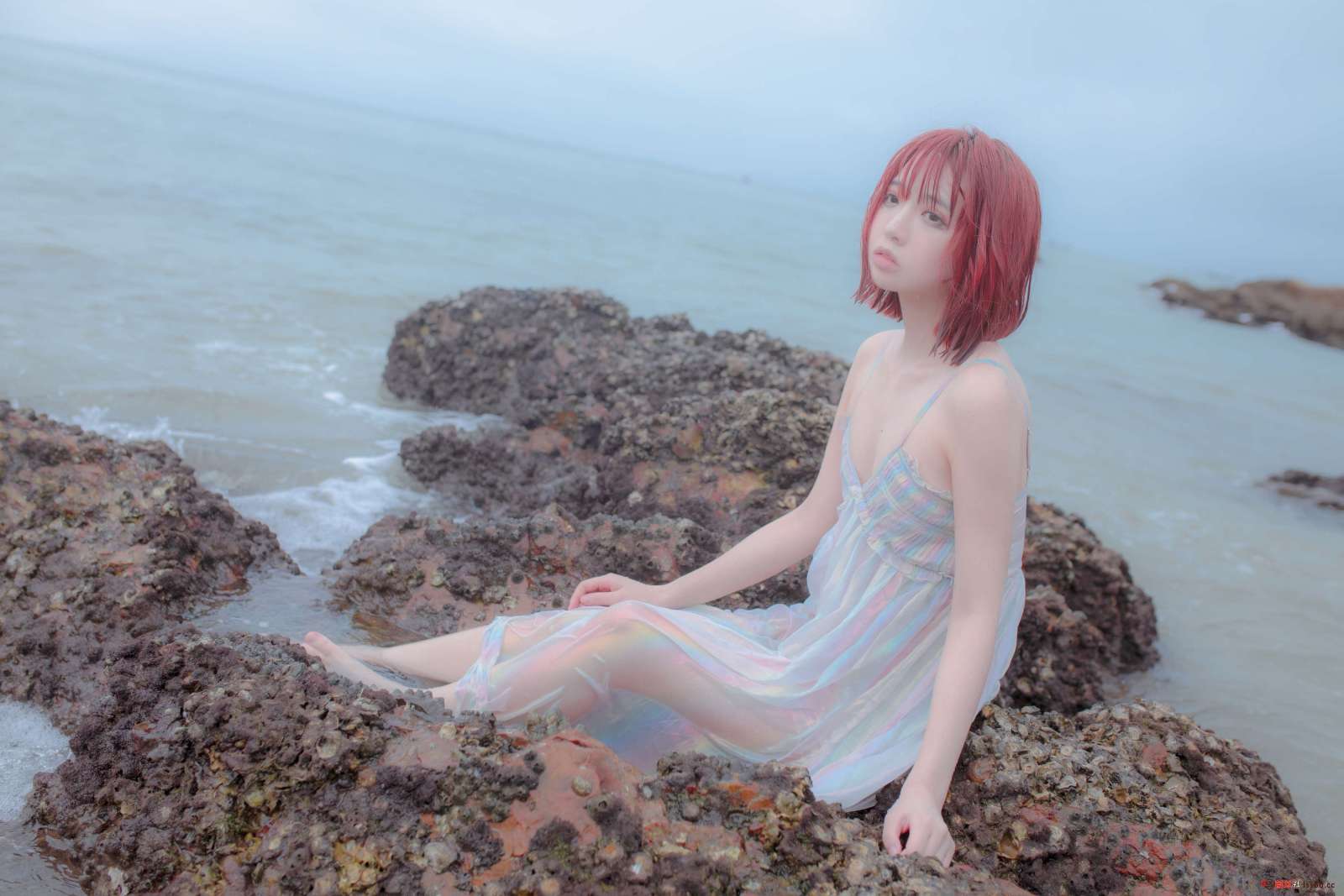 https://www.lss77.com/wp-content/uploads/2022/10/038A4845-1600x1067.jpg