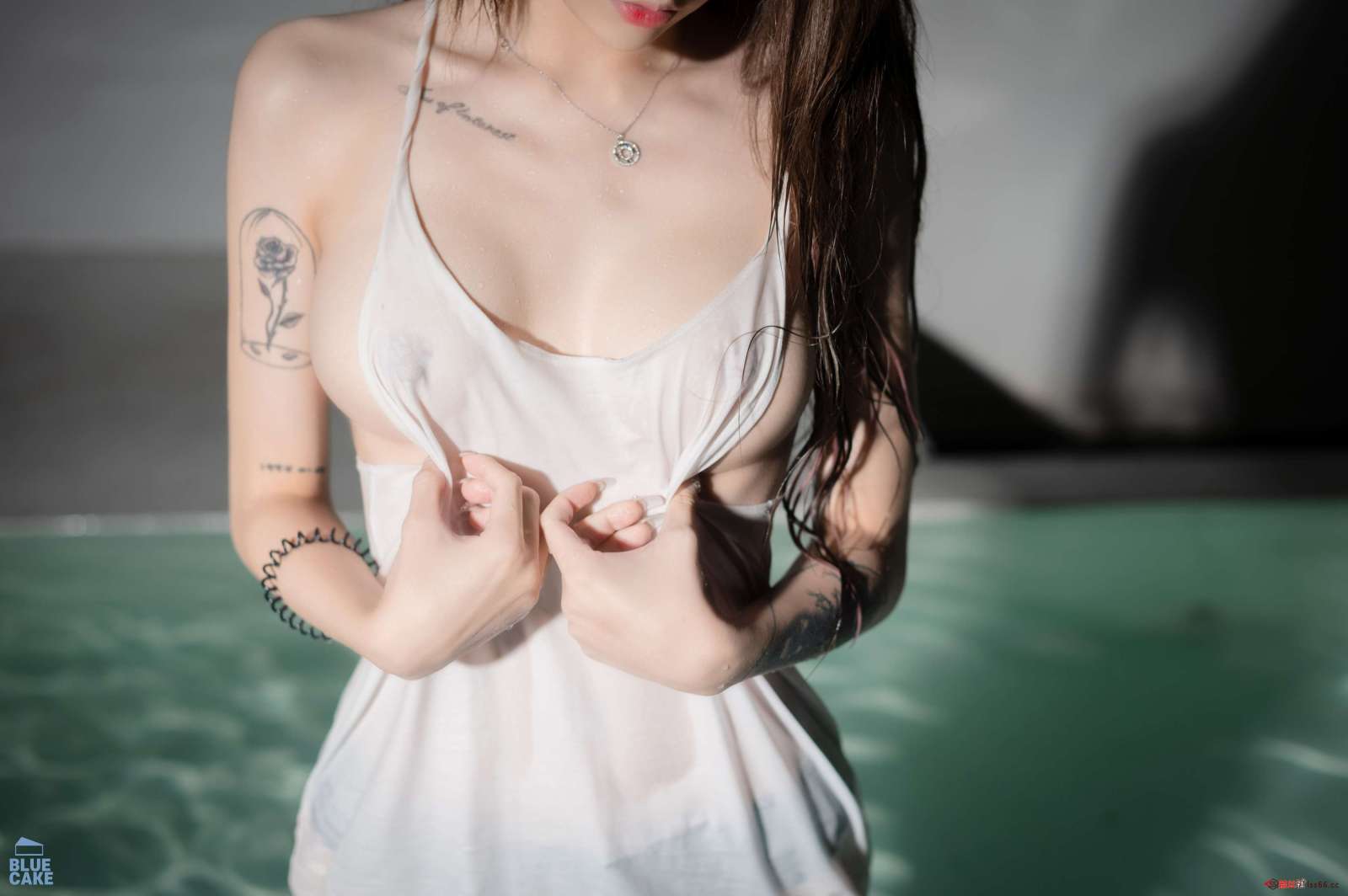 https://www.lss77.com/wp-content/uploads/2022/10/230-1600x1064.jpg