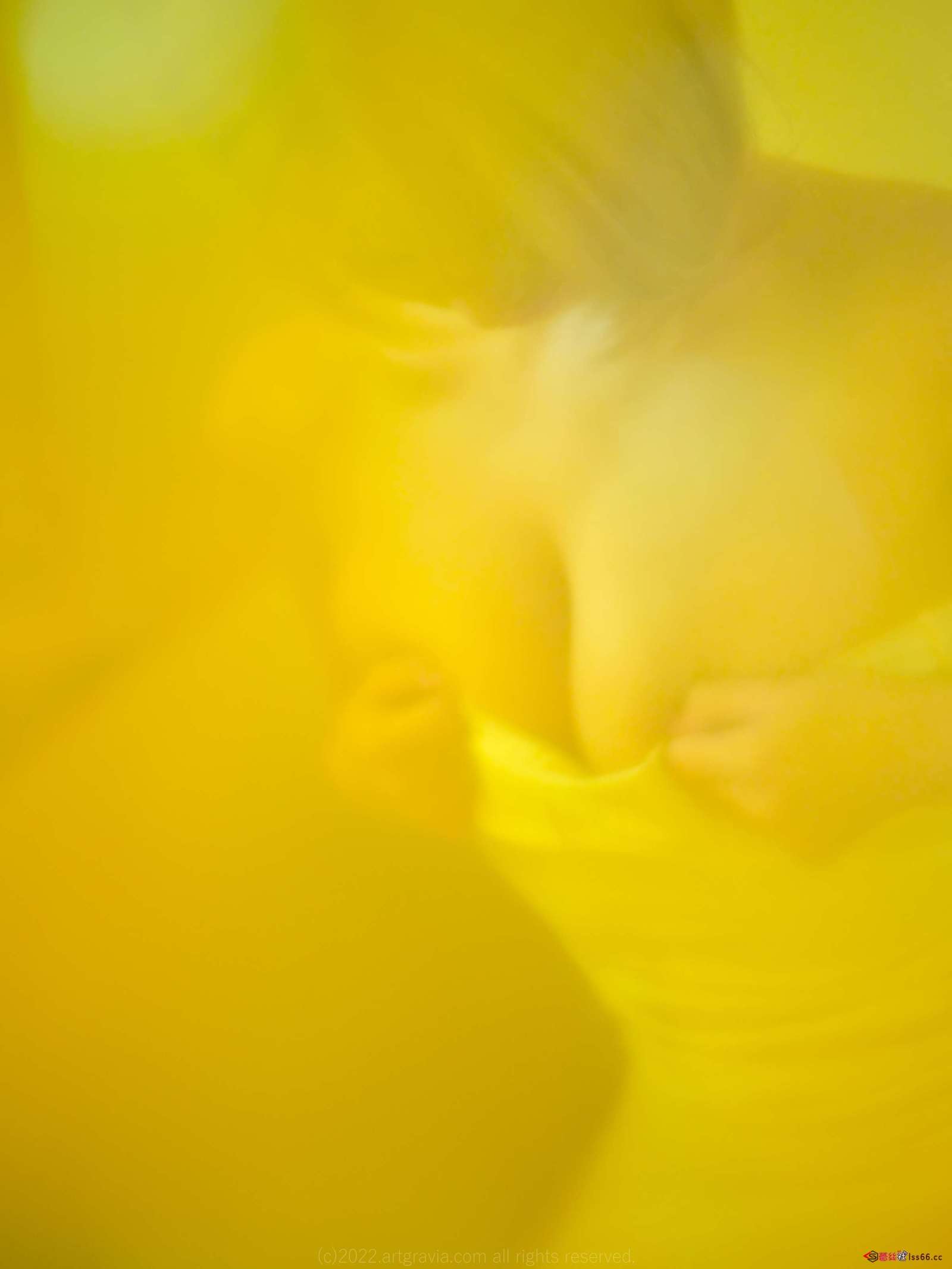 https://www.lss77.com/wp-content/uploads/2022/11/0036-1600x2133.jpeg