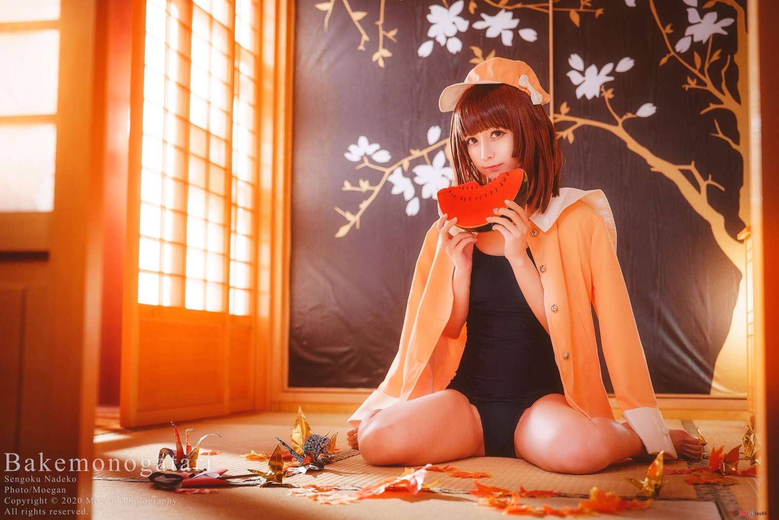 https://www.lss77.com/wp-content/uploads/2022/11/004-45-1600x1067.jpg