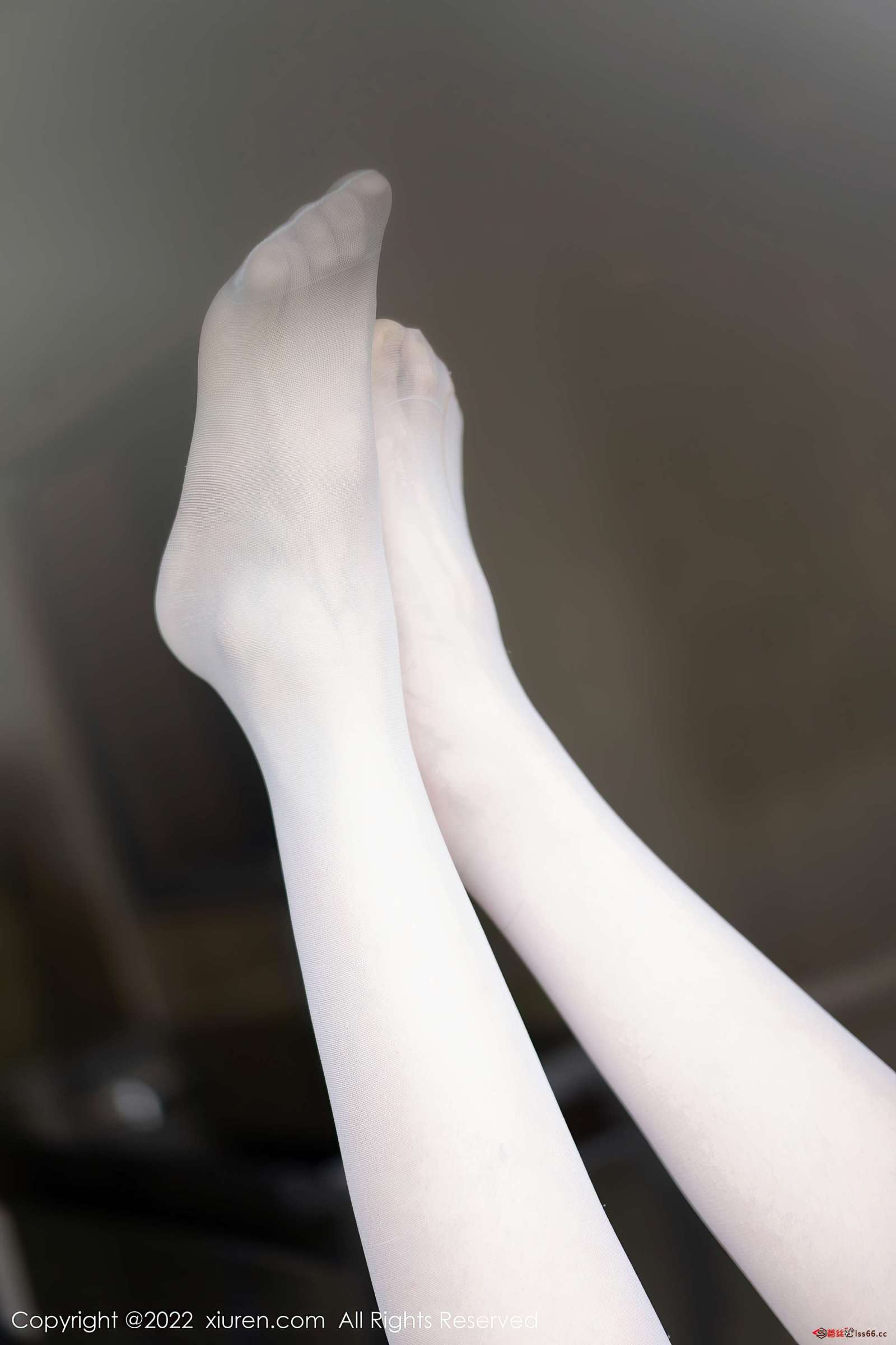 https://www.lss77.com/wp-content/uploads/2022/11/0042-18-1600x2400.jpg
