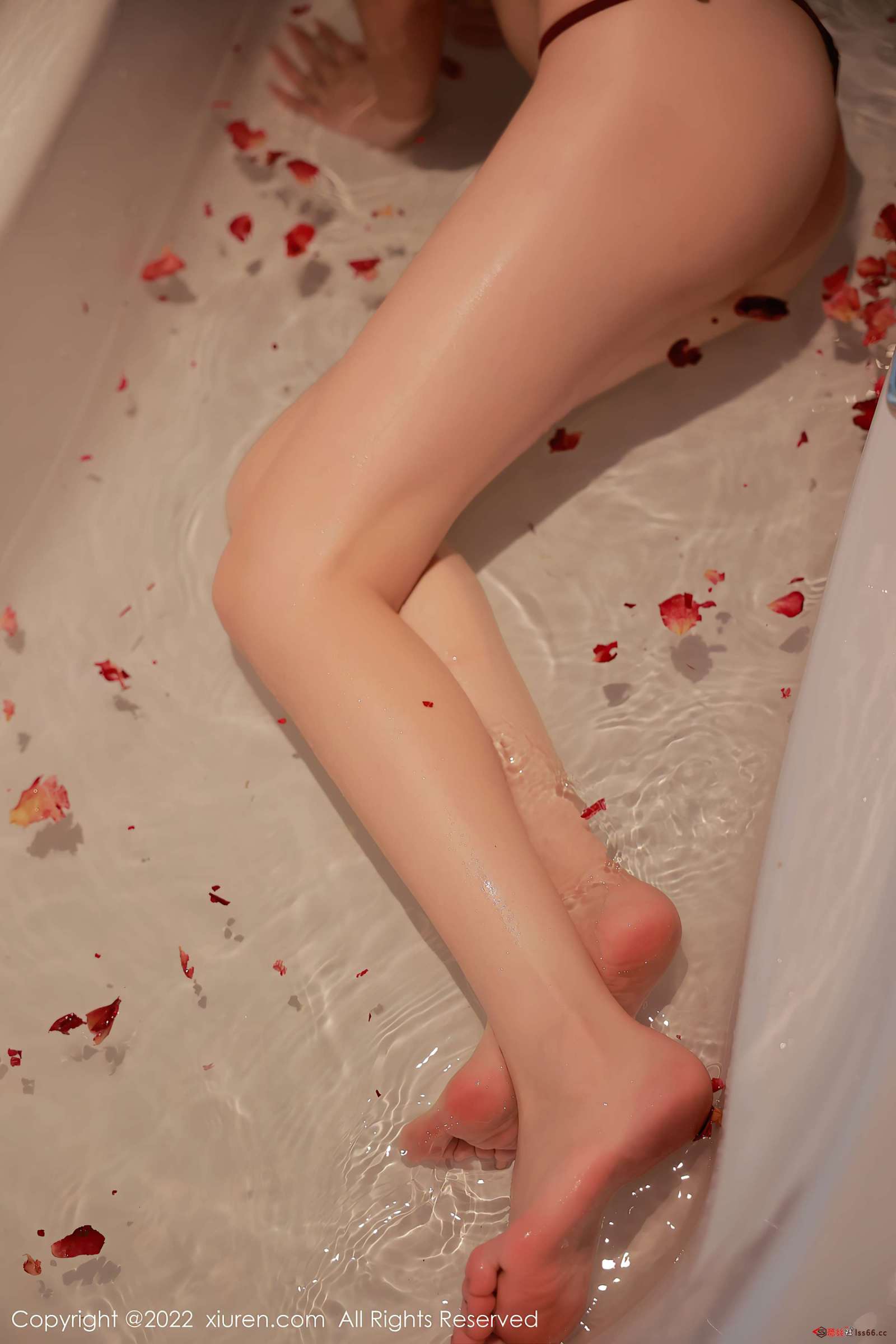 https://www.lss77.com/wp-content/uploads/2022/11/0053-46-1600x2400.jpg