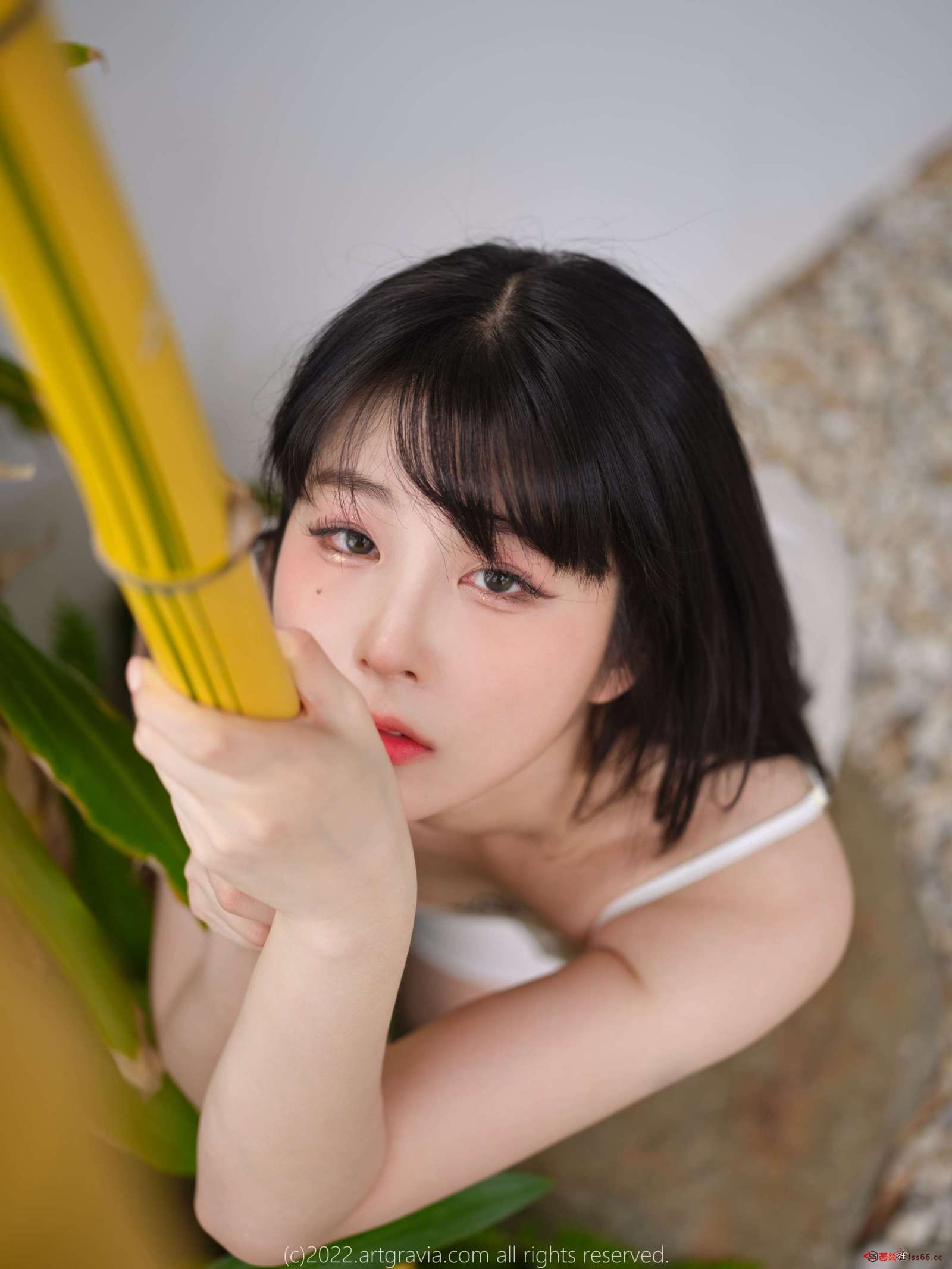 https://www.lss77.com/wp-content/uploads/2022/11/007-223-1600x2133.jpg