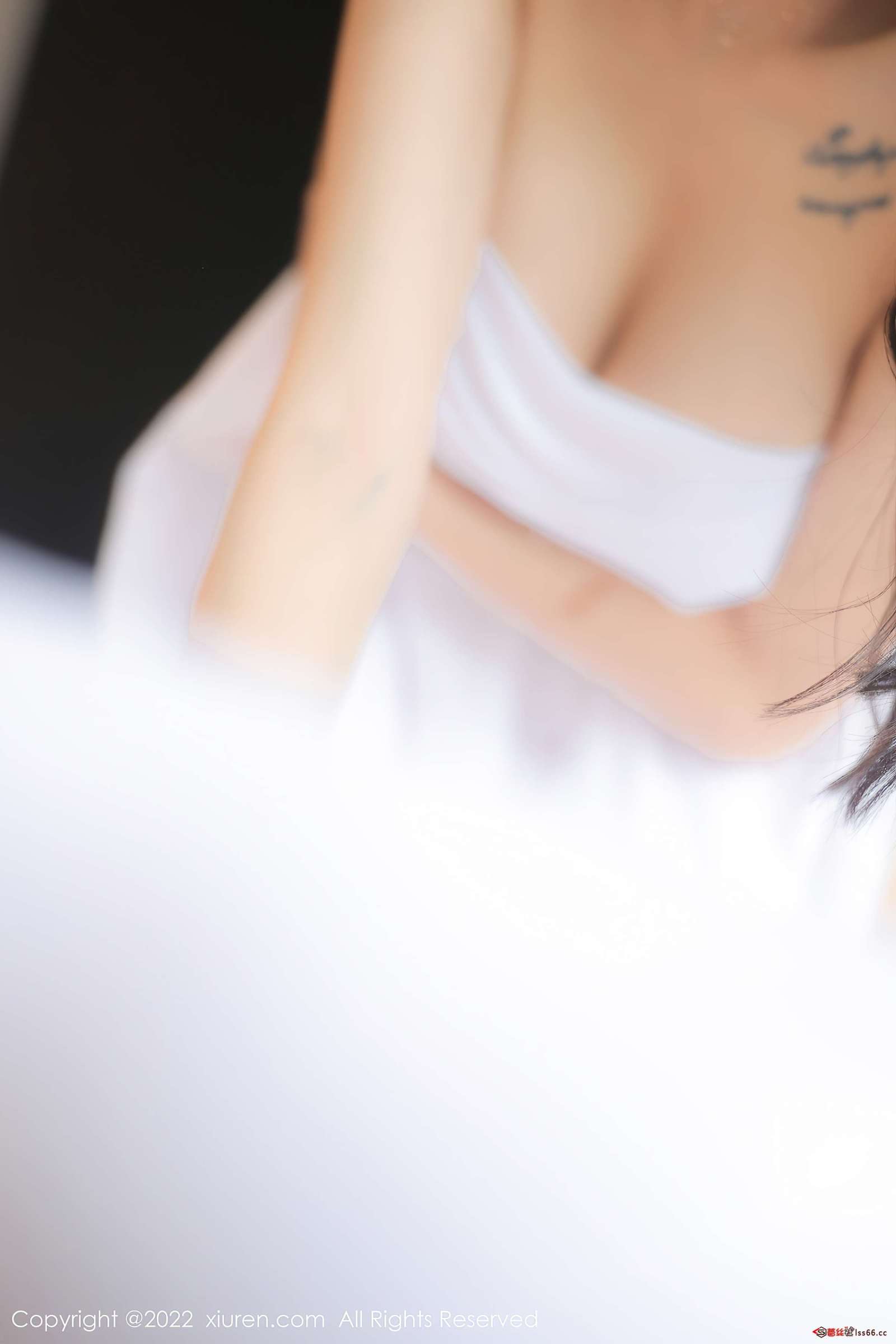 https://www.lss77.com/wp-content/uploads/2022/11/0071-28-1600x2400.jpg