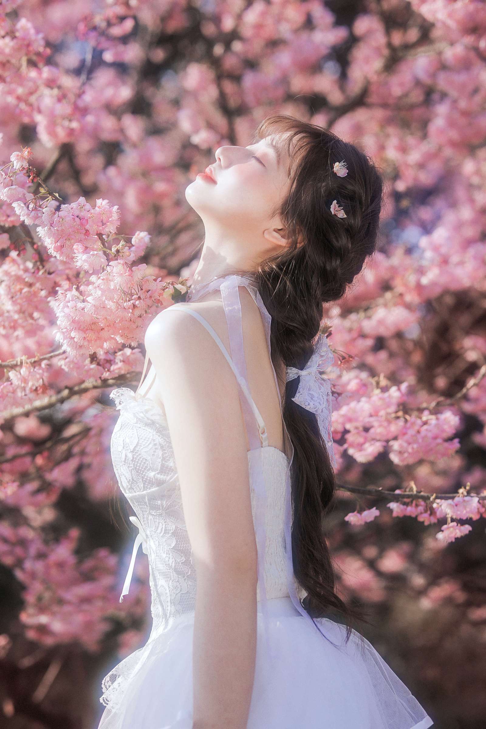 https://www.lss77.com/wp-content/uploads/2022/11/009-296-1600x2400.jpg