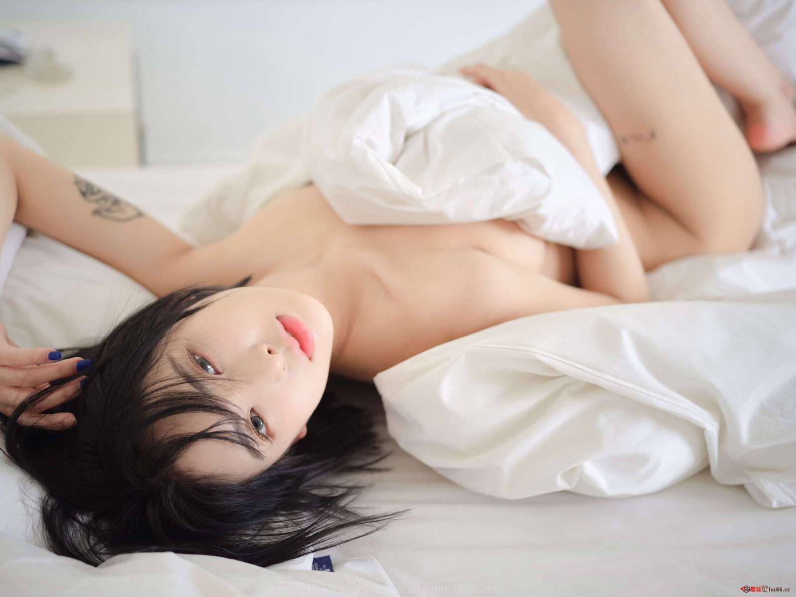 https://www.lss77.com/wp-content/uploads/2022/11/0095-8-1600x1200.jpg