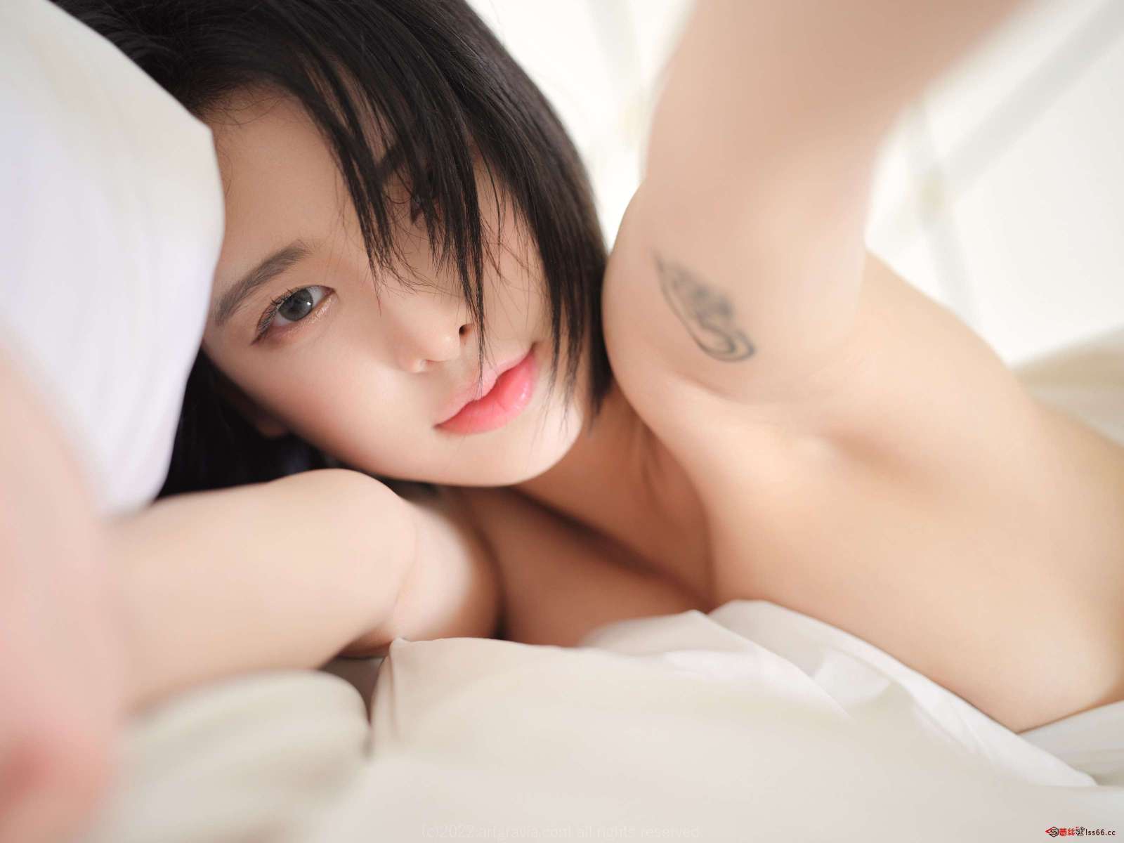 https://www.lss77.com/wp-content/uploads/2022/11/0101-6-1600x1200.jpg