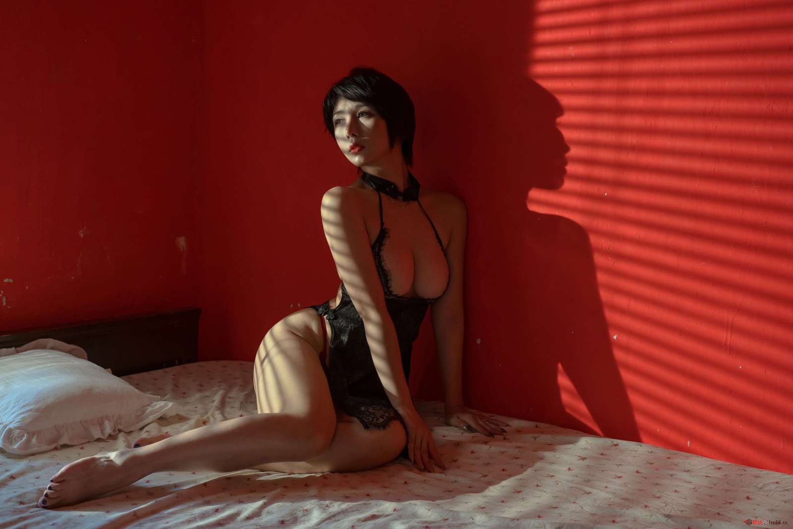 https://www.lss77.com/wp-content/uploads/2022/11/011-299-1600x1067.jpg