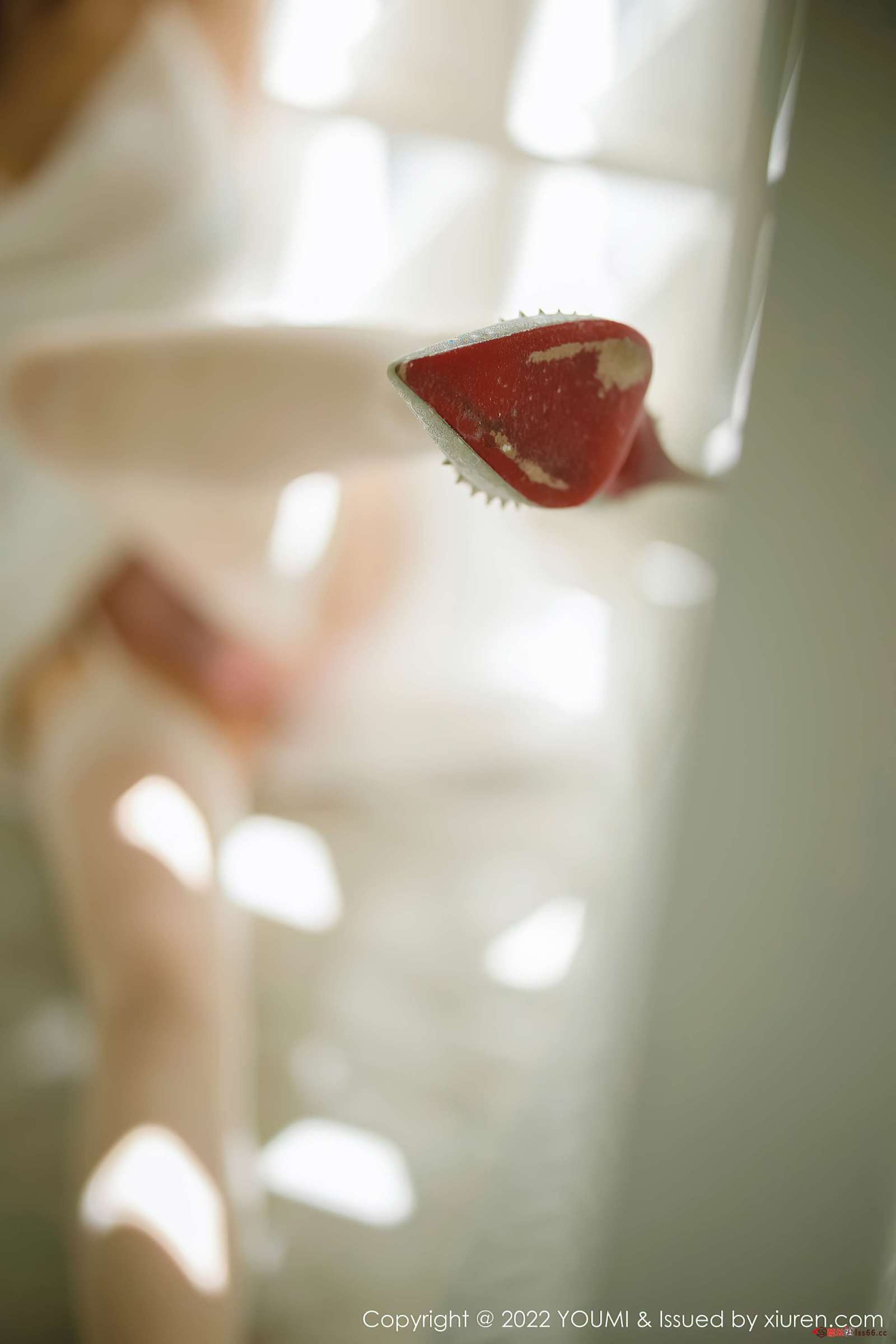 https://www.lss77.com/wp-content/uploads/2022/11/018-214-1600x2400.jpg