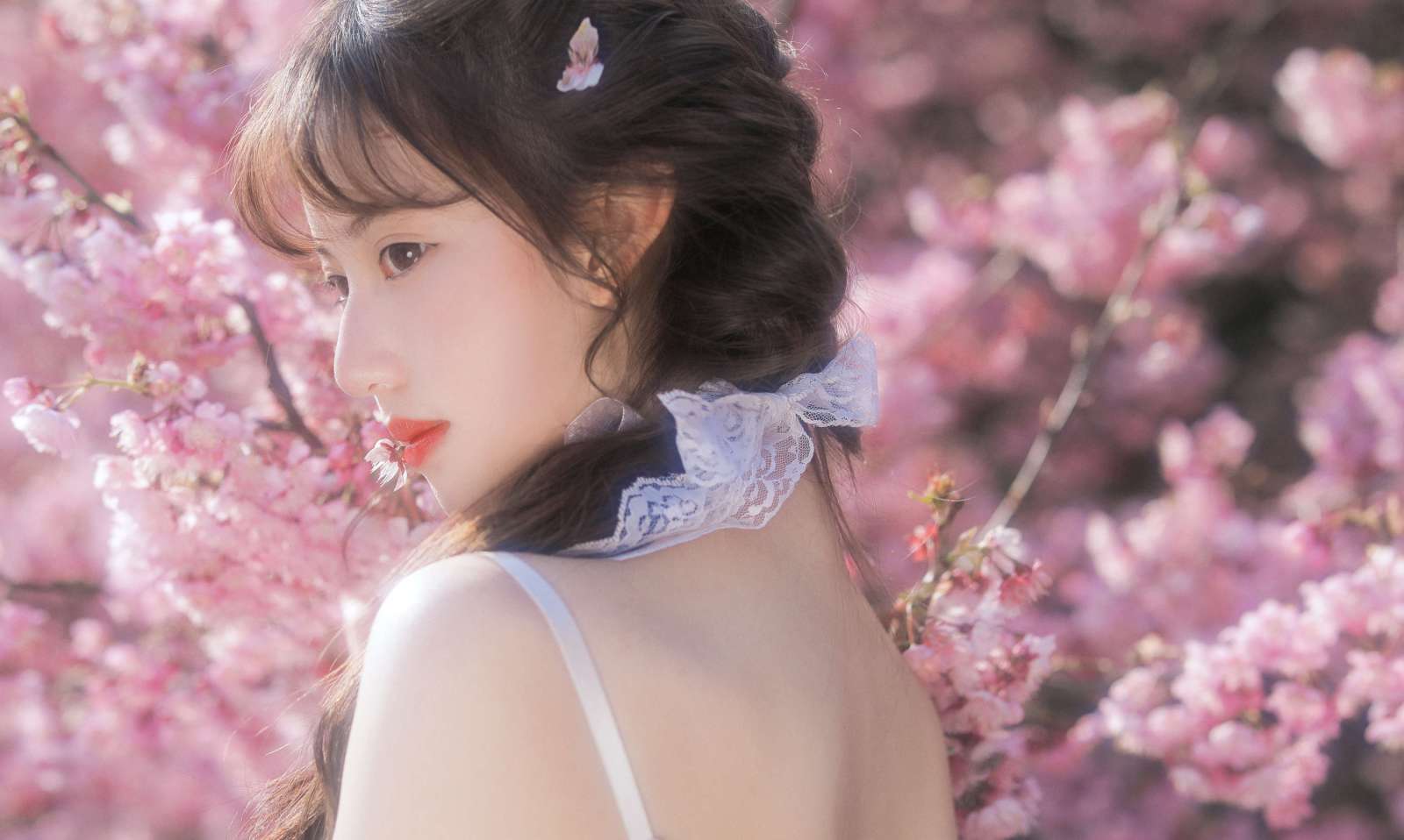 https://www.lss77.com/wp-content/uploads/2022/11/018-271-1600x958.jpg