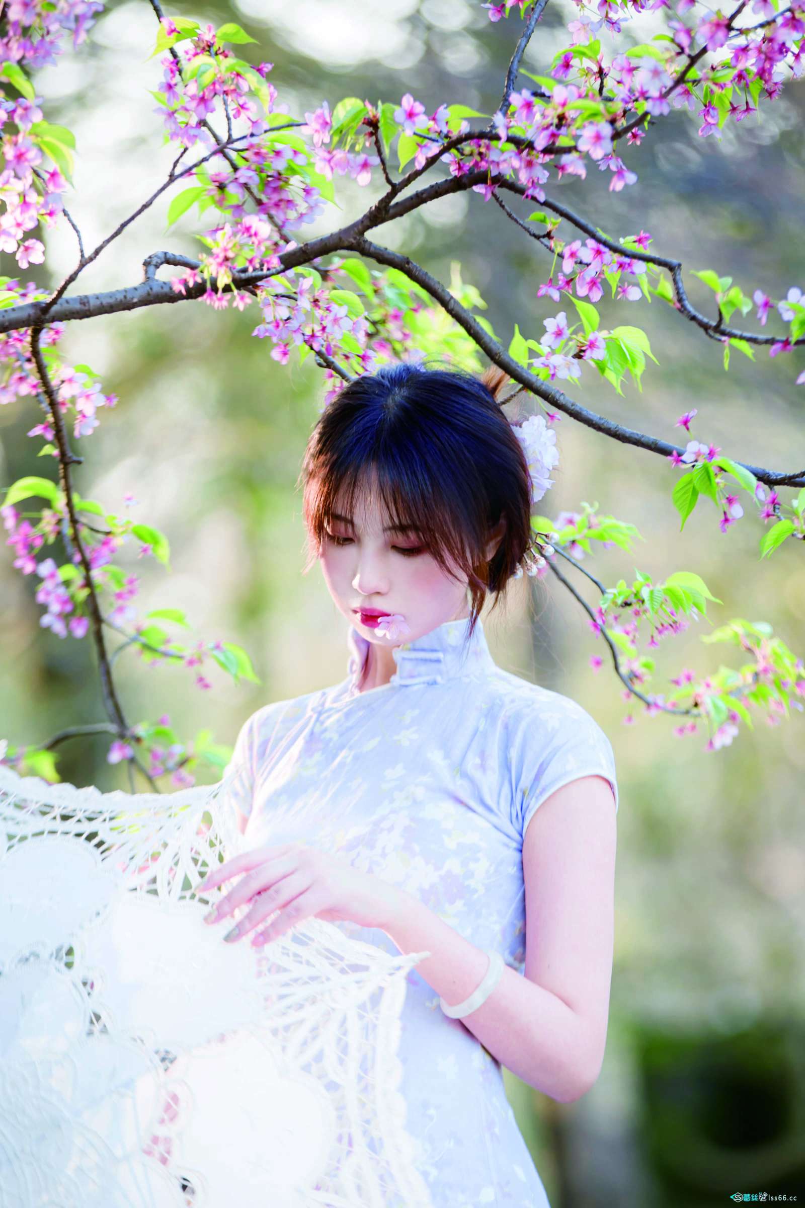 https://www.lss77.com/wp-content/uploads/2022/11/02-5-1600x2400.jpg
