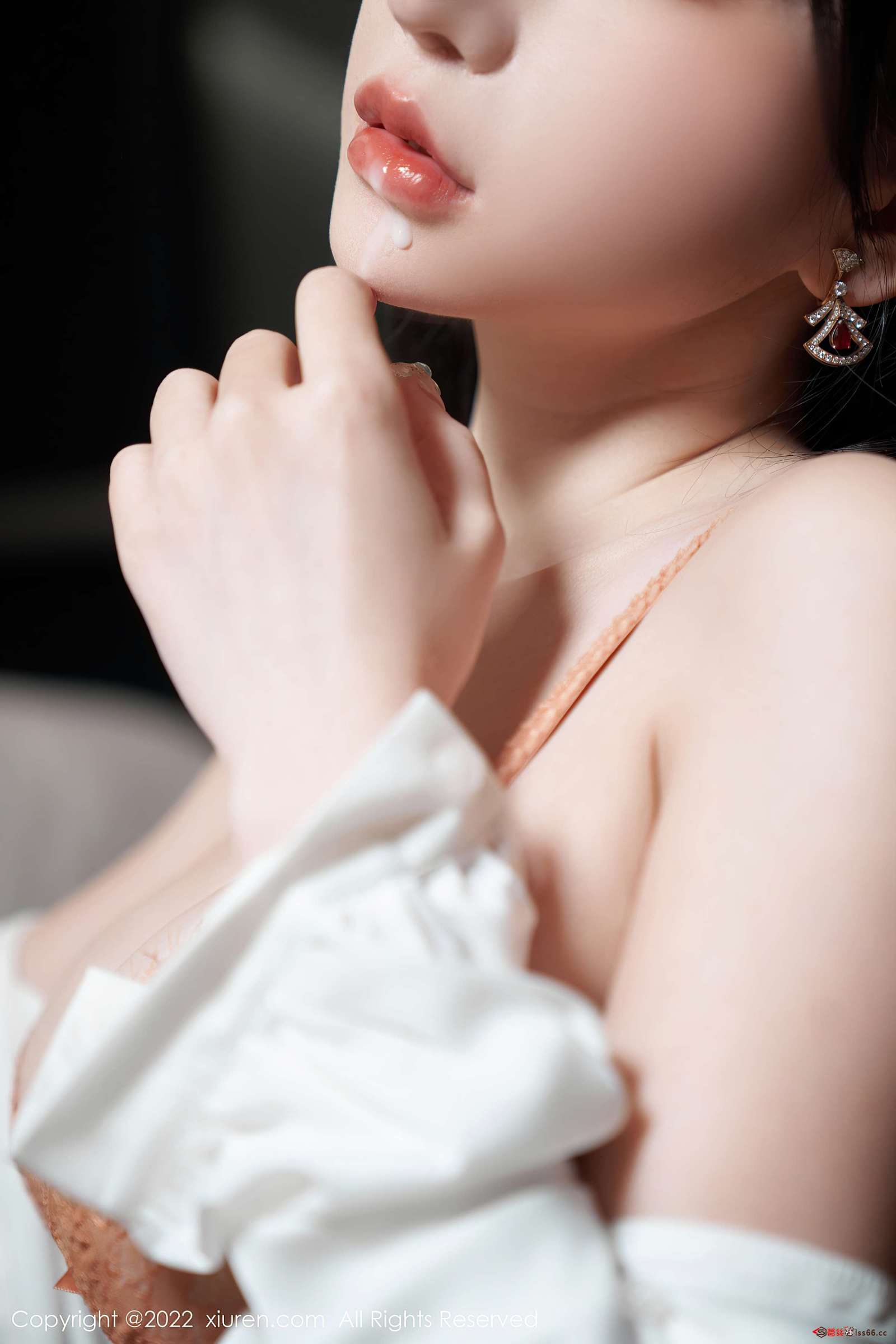 https://www.lss77.com/wp-content/uploads/2022/11/062-70-1600x2400.jpg