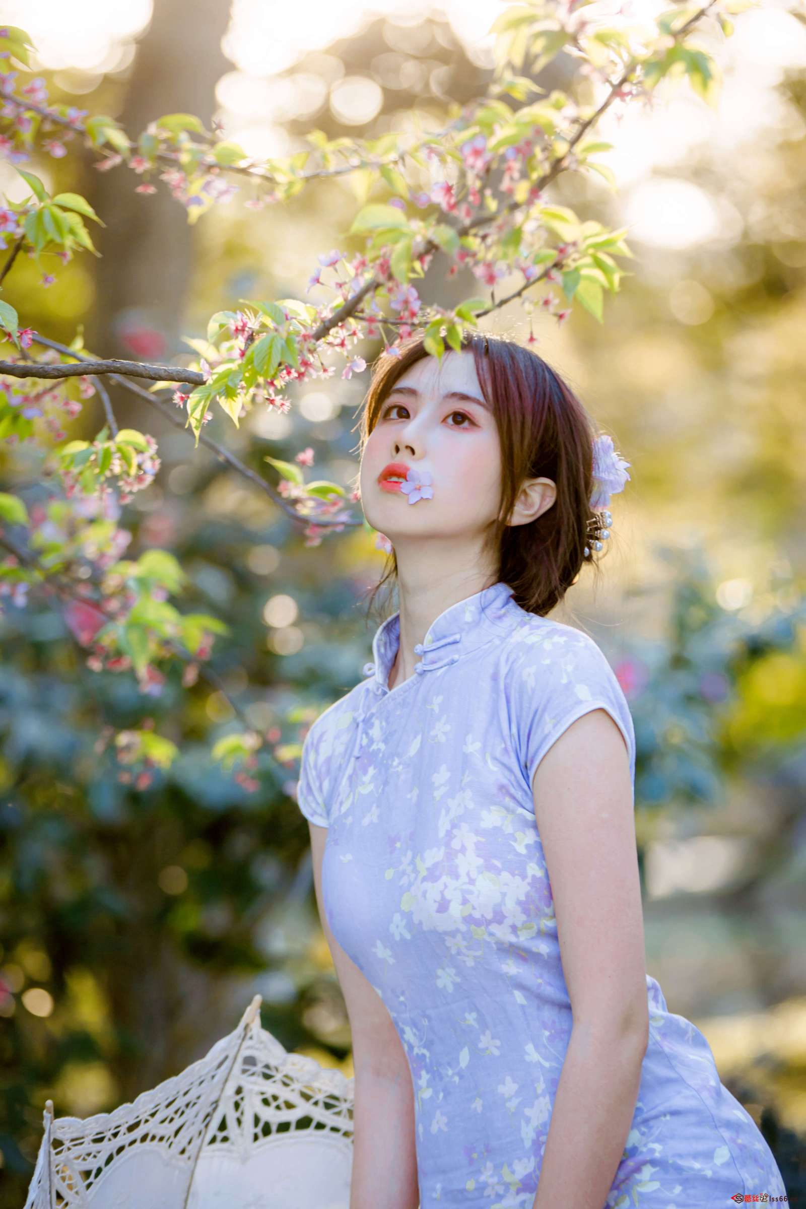 https://www.lss77.com/wp-content/uploads/2022/11/07-4-1600x2400.jpg