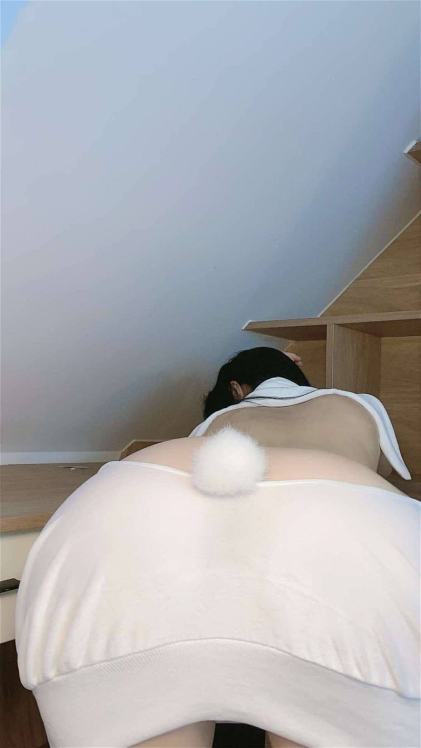 https://www.lss77.com/wp-content/uploads/2022/11/086-11-1350x2400.jpg
