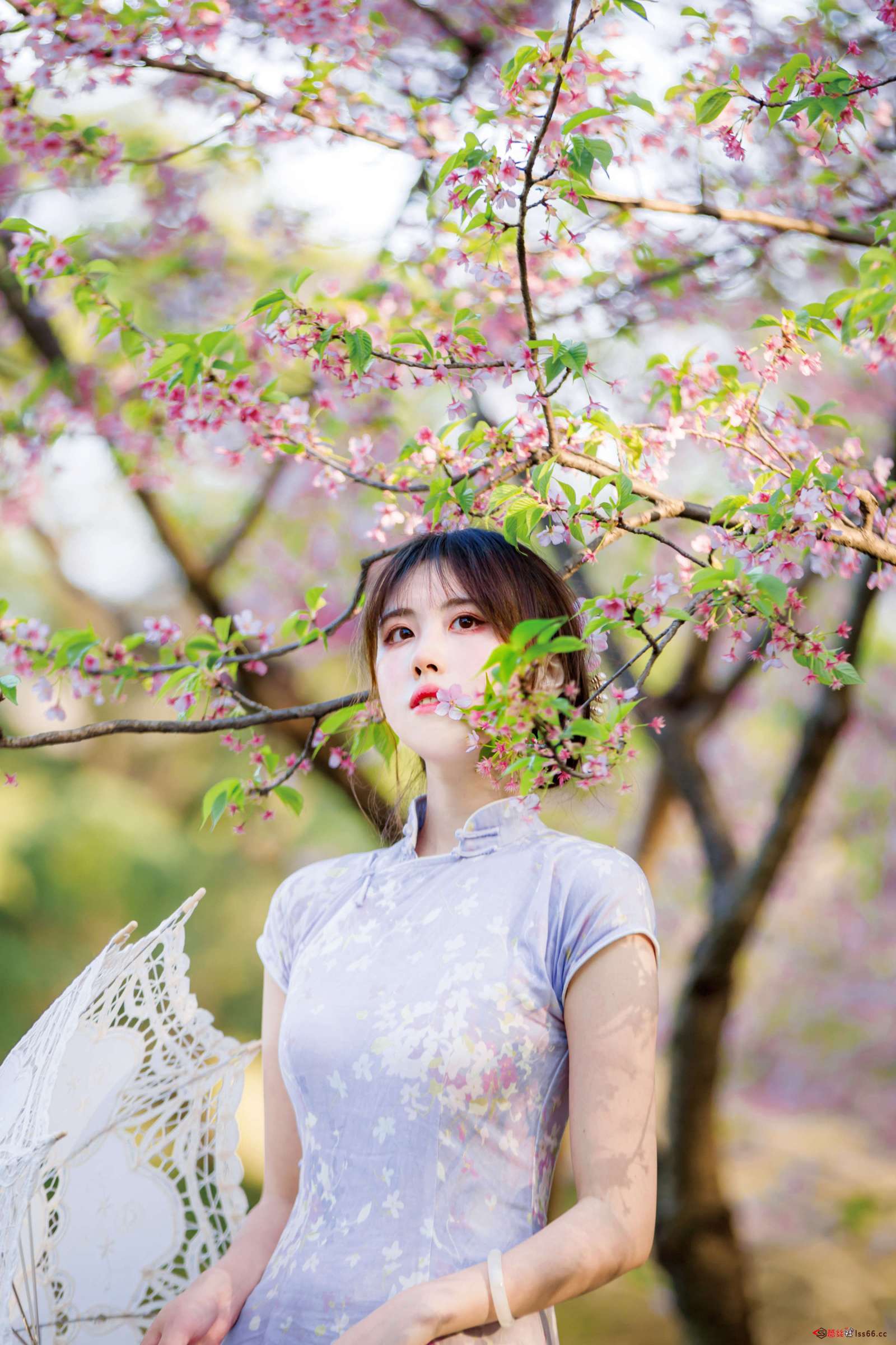 https://www.lss77.com/wp-content/uploads/2022/11/13-27-1600x2400.jpg