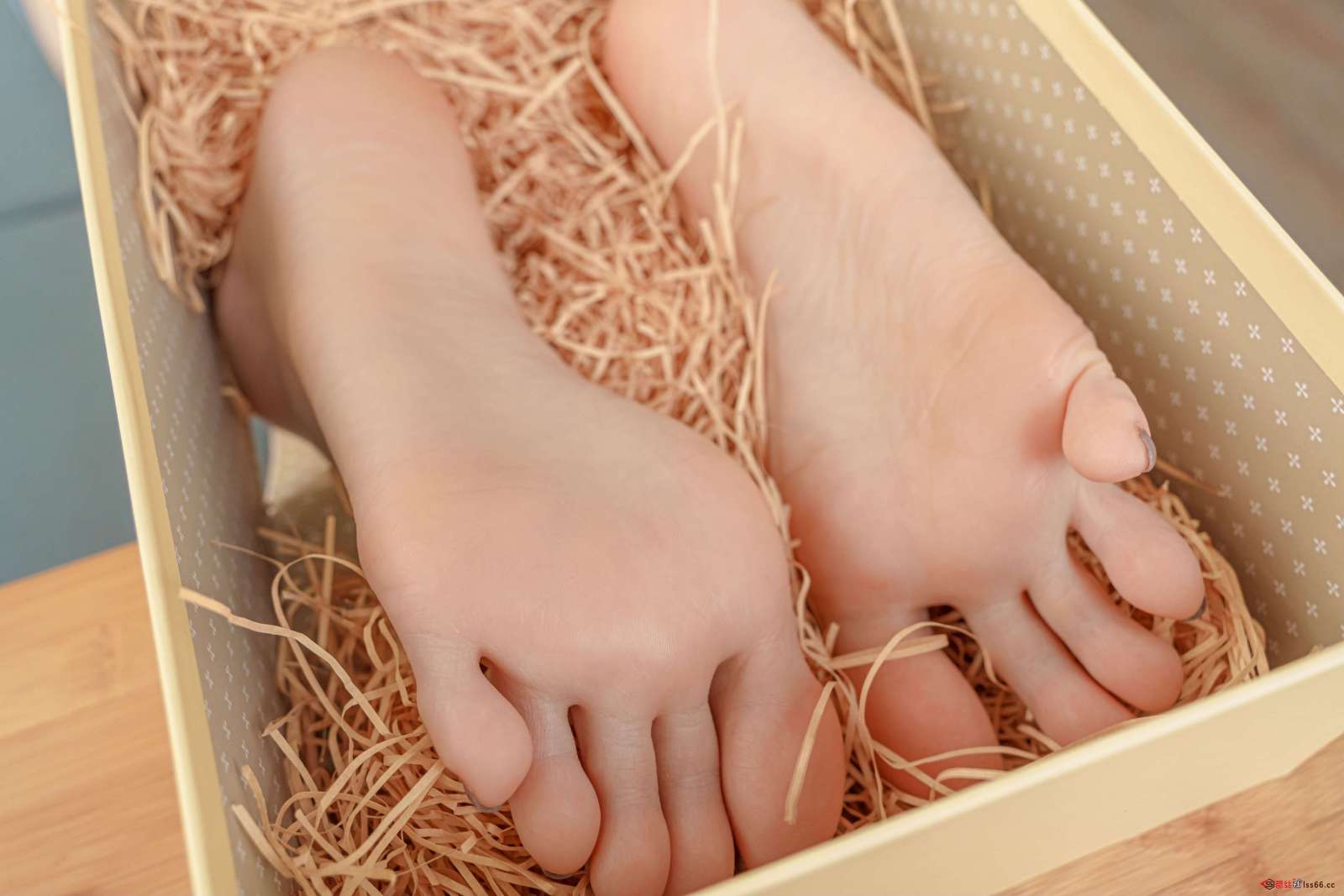https://www.lss77.com/wp-content/uploads/2022/11/148-3-1600x1067.jpg