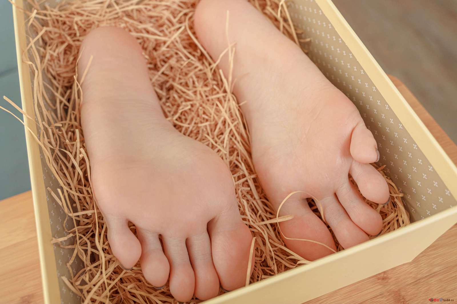 https://www.lss77.com/wp-content/uploads/2022/11/149-3-1600x1067.jpg