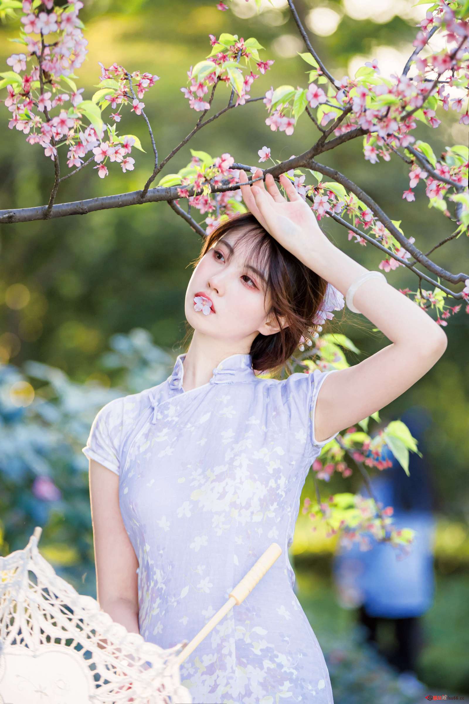 https://www.lss77.com/wp-content/uploads/2022/11/19-24-1600x2400.jpg