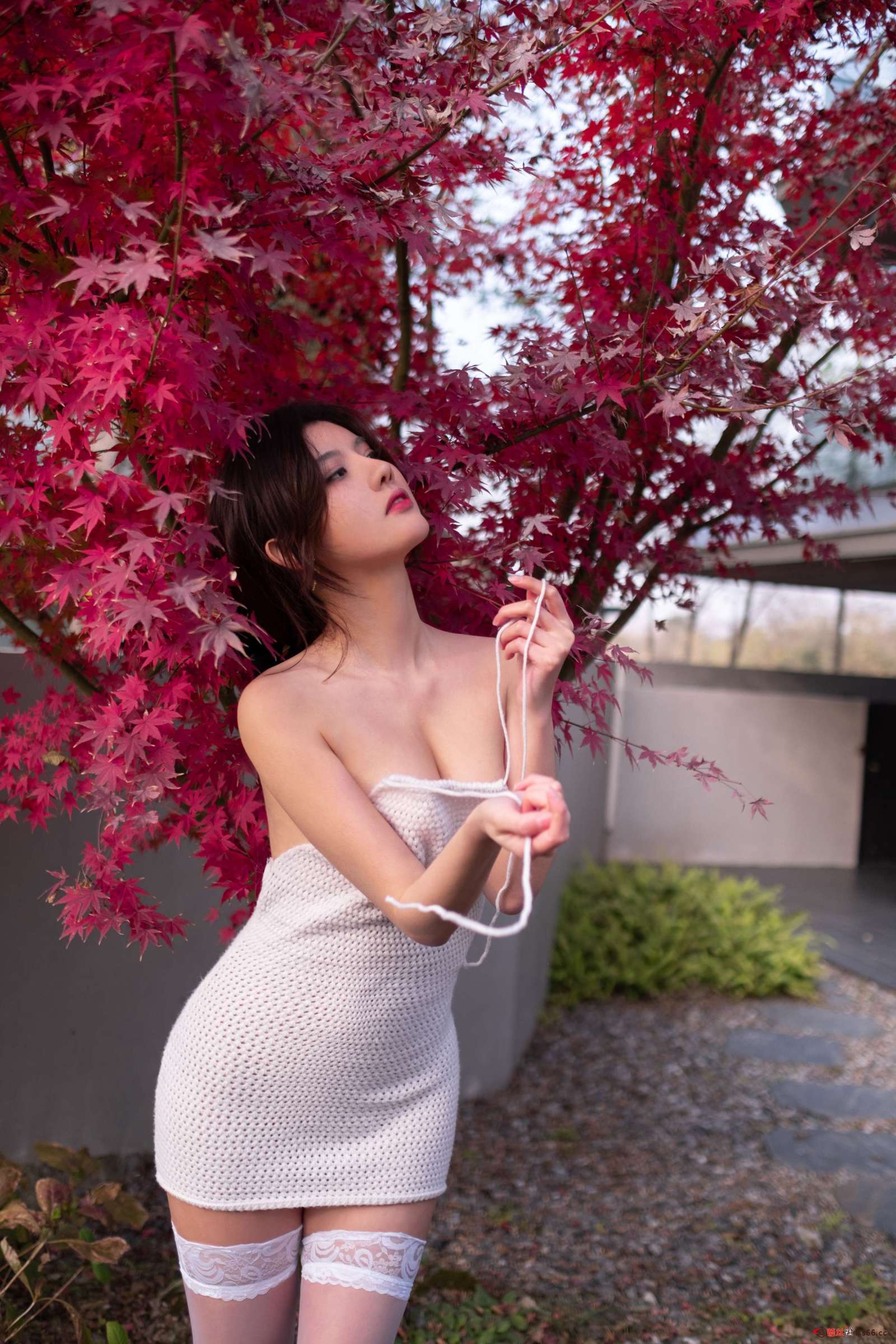 https://www.lss77.com/wp-content/uploads/2022/11/199-1600x2400.jpeg