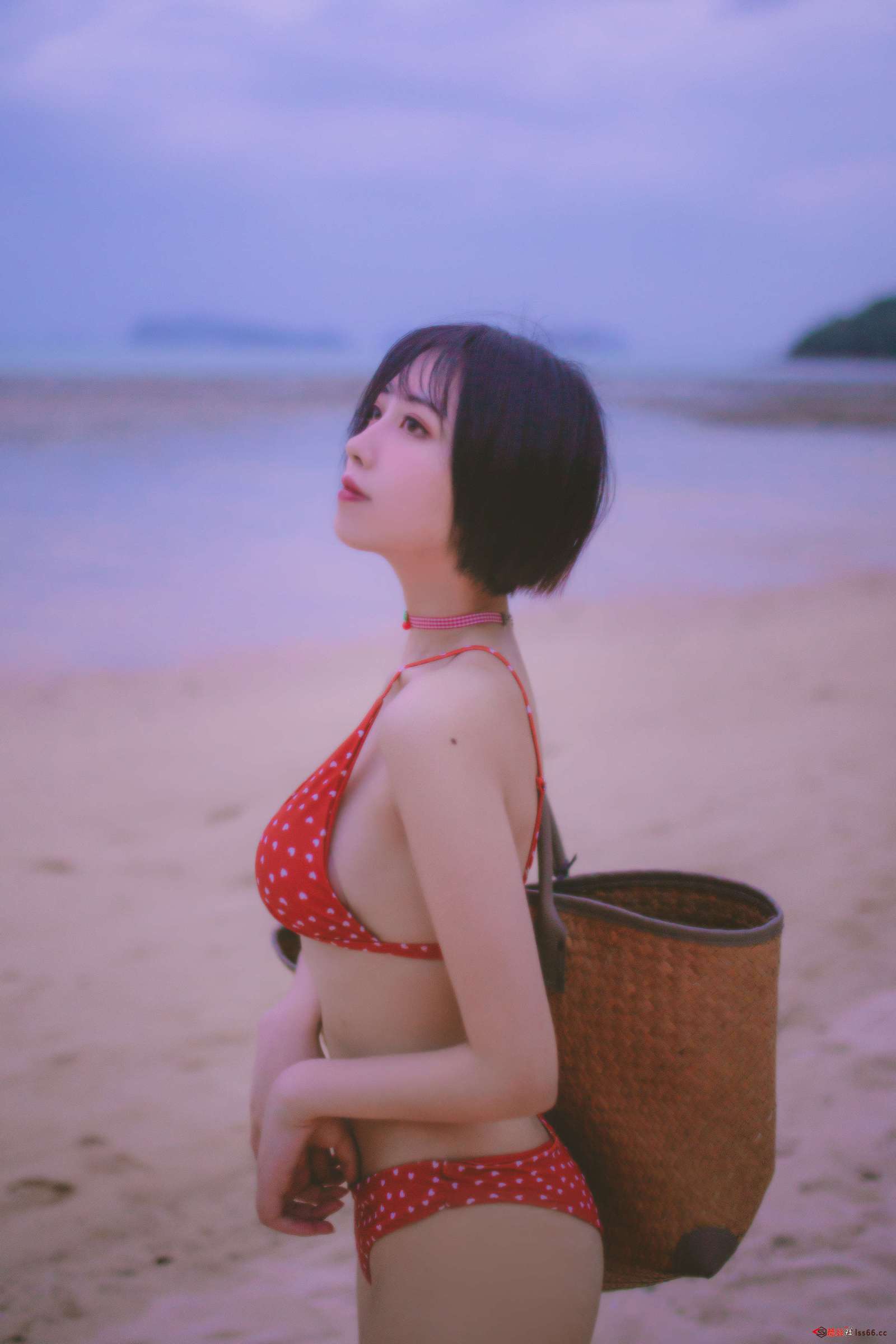 https://www.lss77.com/wp-content/uploads/2022/11/26-16-1600x2400.jpg