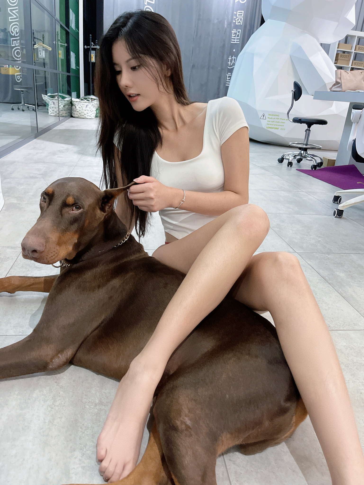 https://www.lss77.com/wp-content/uploads/2022/11/377.jpeg