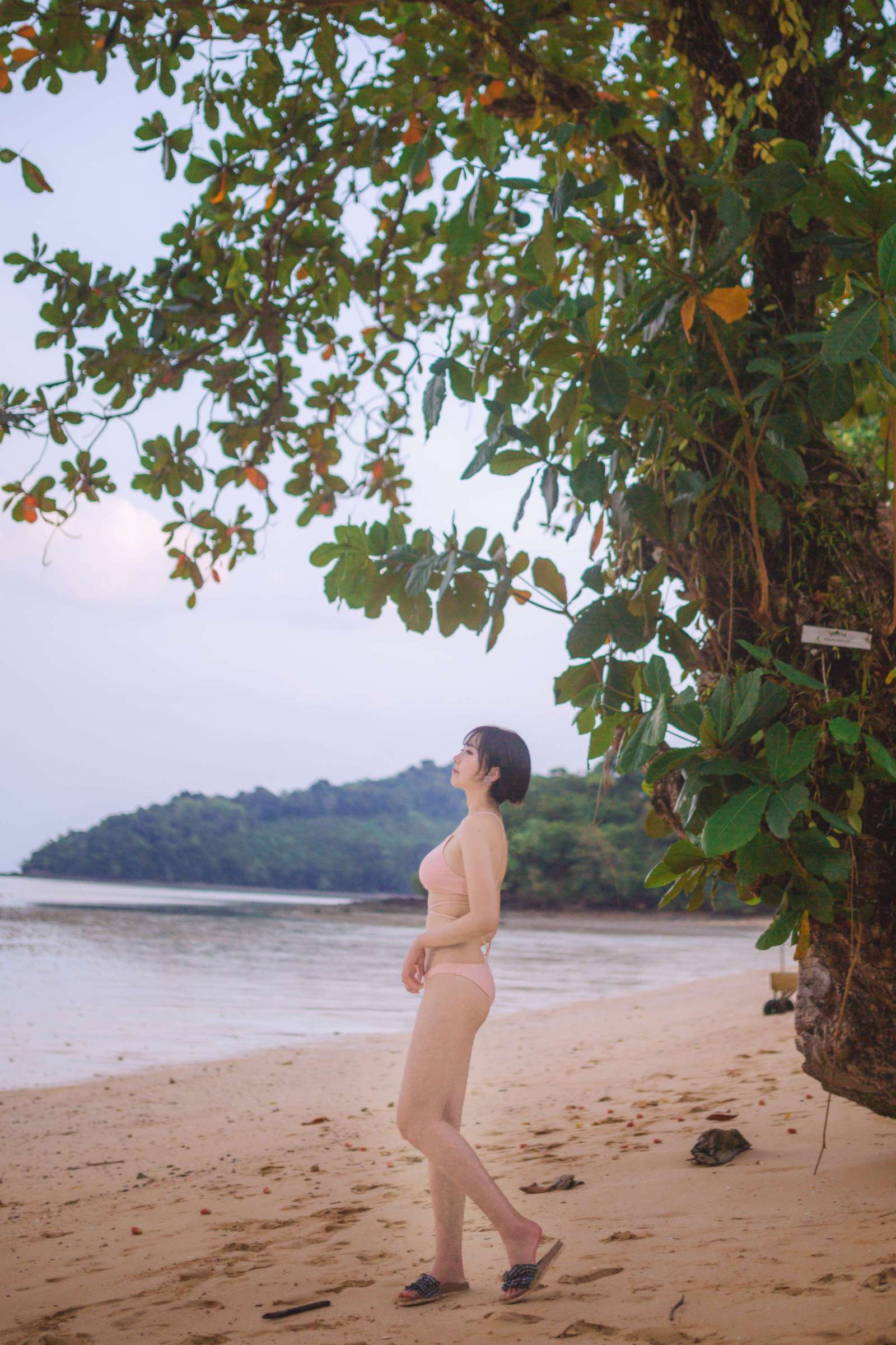 https://www.lss77.com/wp-content/uploads/2022/11/C-27-28-1600x2400.jpg