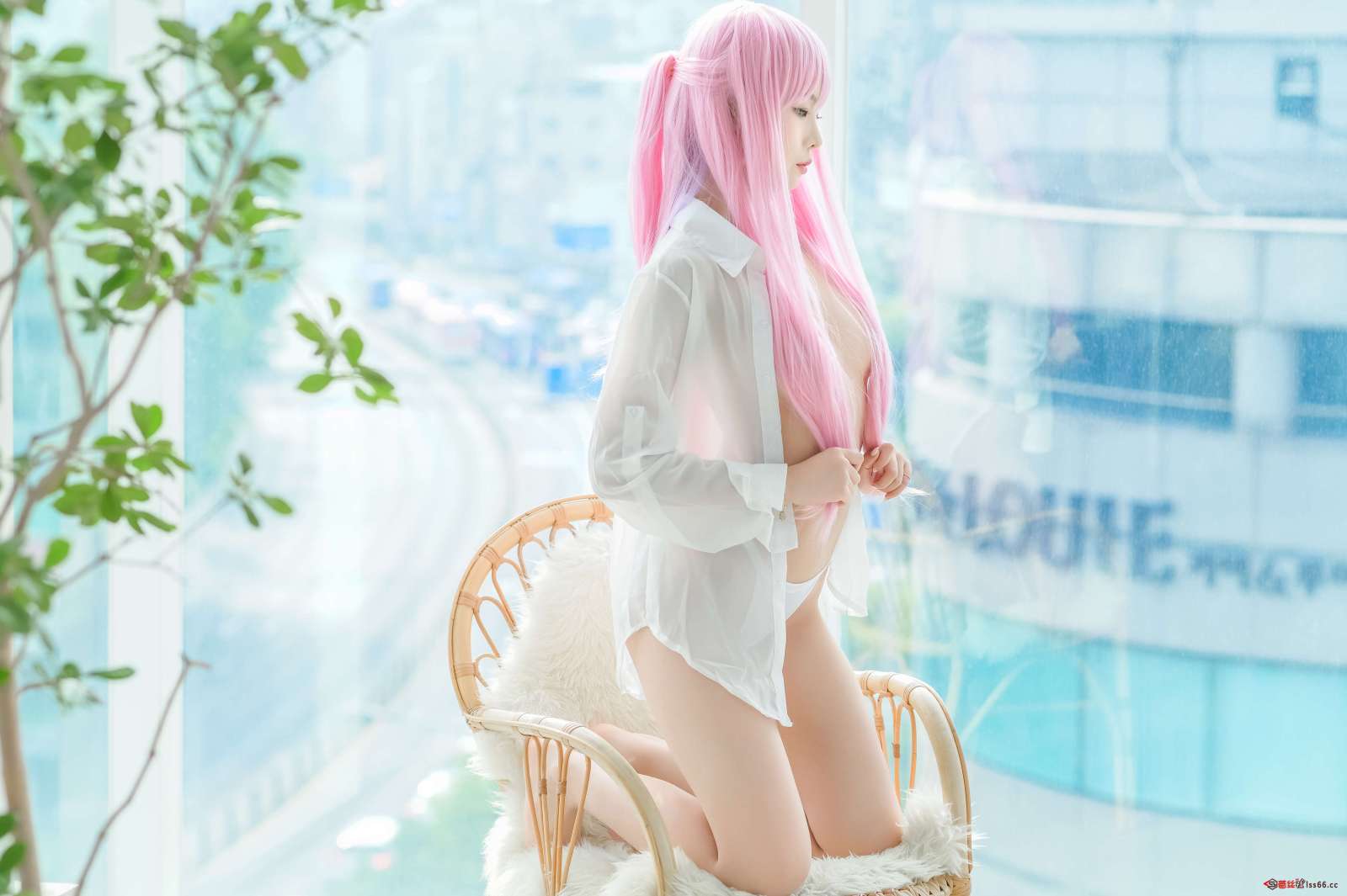 https://www.lss77.com/wp-content/uploads/2022/11/c-120-1600x1065.jpg