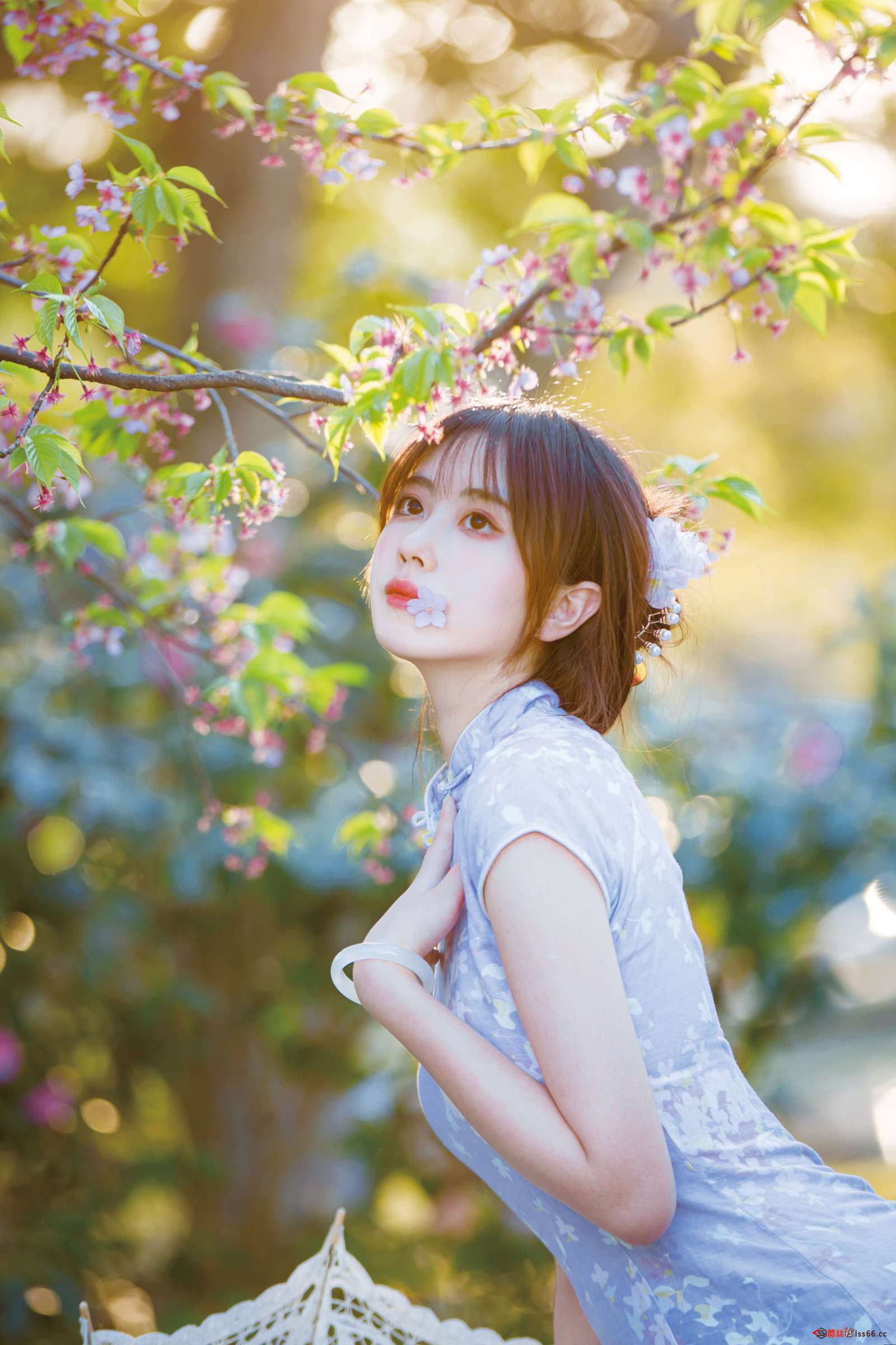 https://www.lss77.com/wp-content/uploads/2022/11/cover-174-1600x2400.jpg