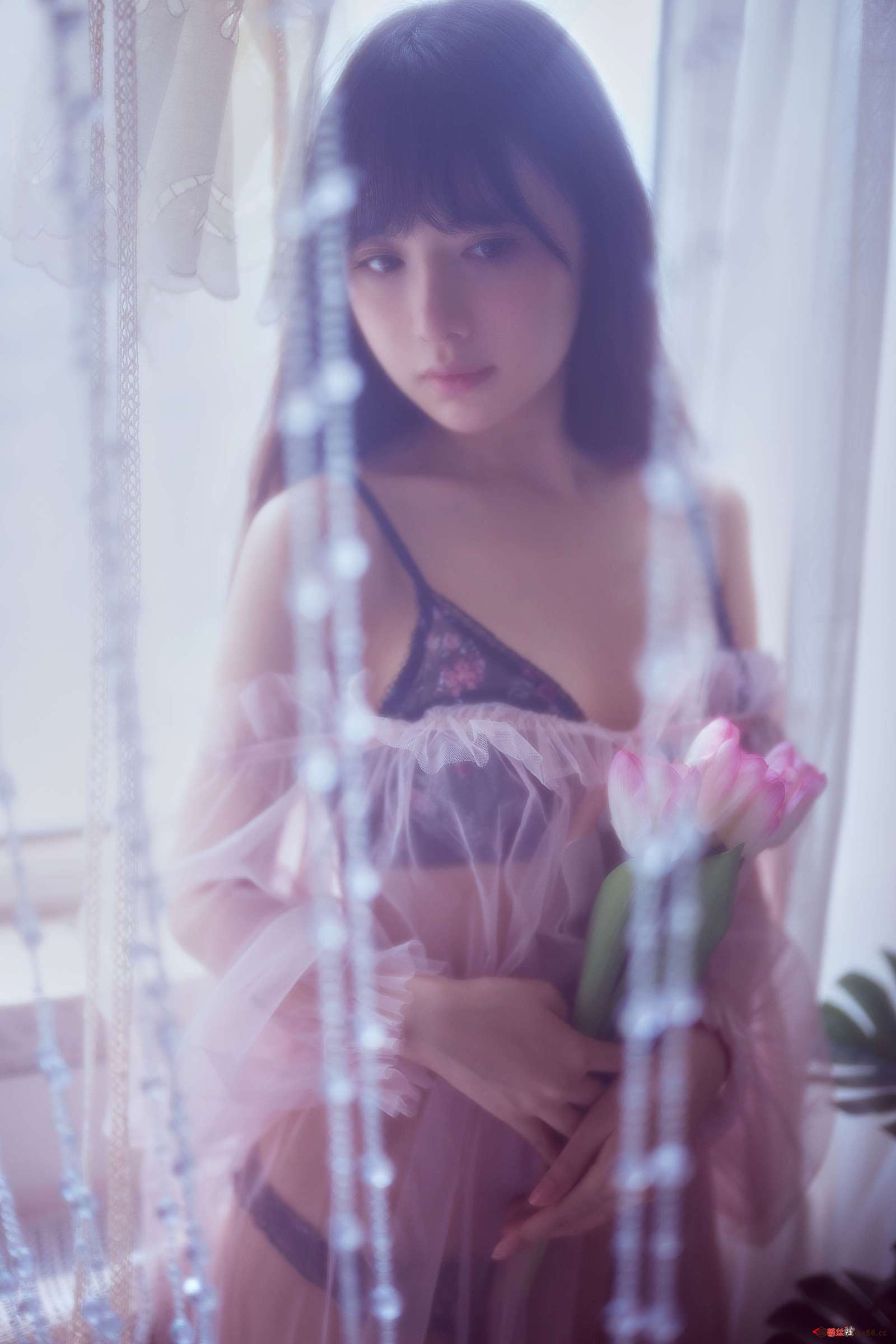 https://www.lss77.com/wp-content/uploads/2022/12/0010-160-1600x2400.jpg