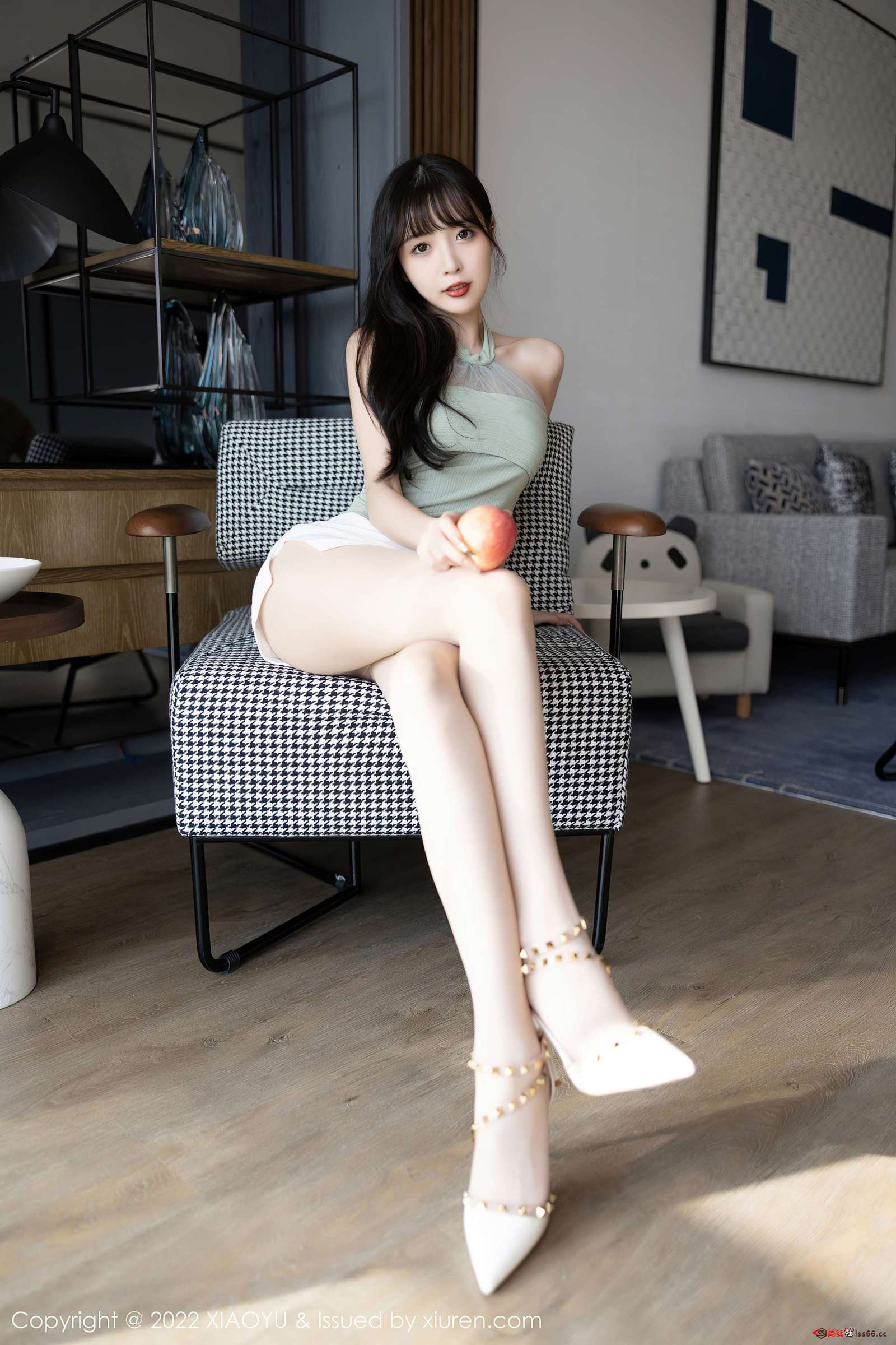 https://www.lss77.com/wp-content/uploads/2022/12/0010-85-1600x2400.jpg