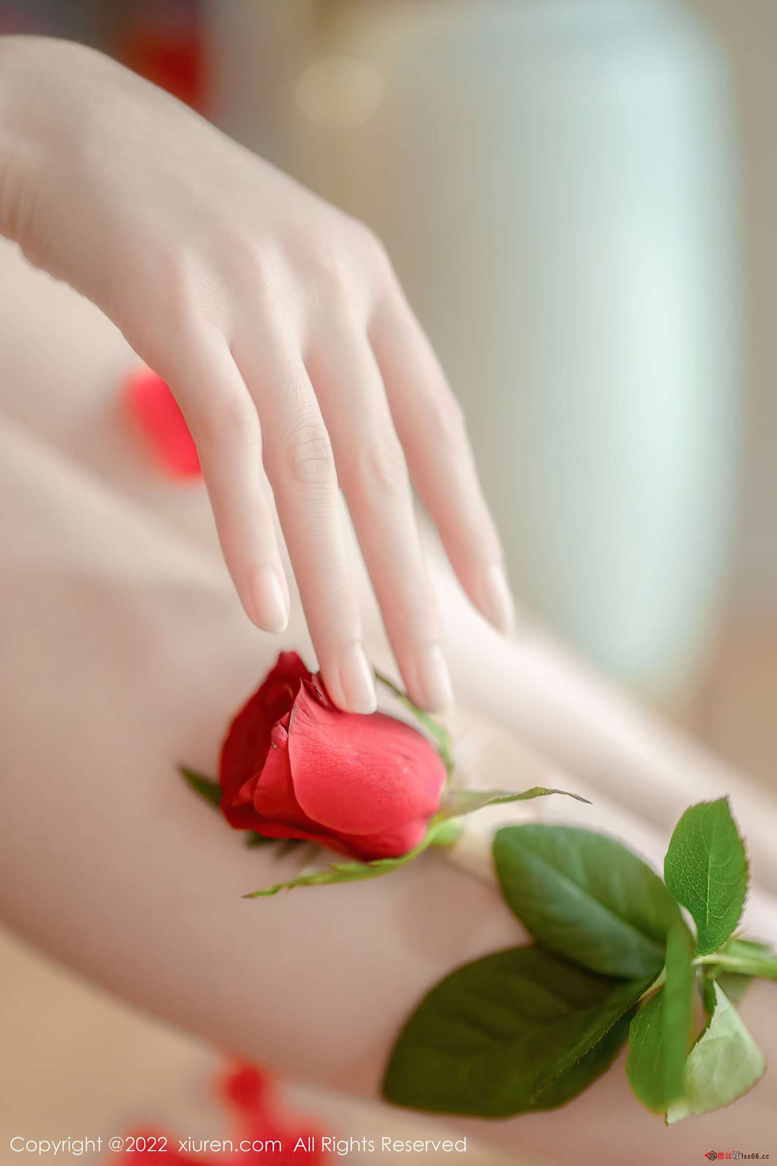https://www.lss77.com/wp-content/uploads/2022/12/0020-71-1600x2400.jpg